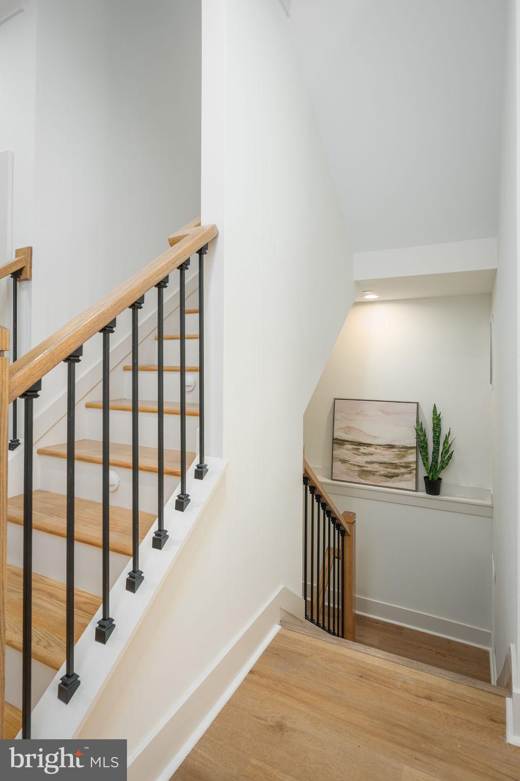 LOCUST POINT - Residential