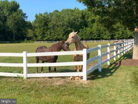 AVENMAR - Residential