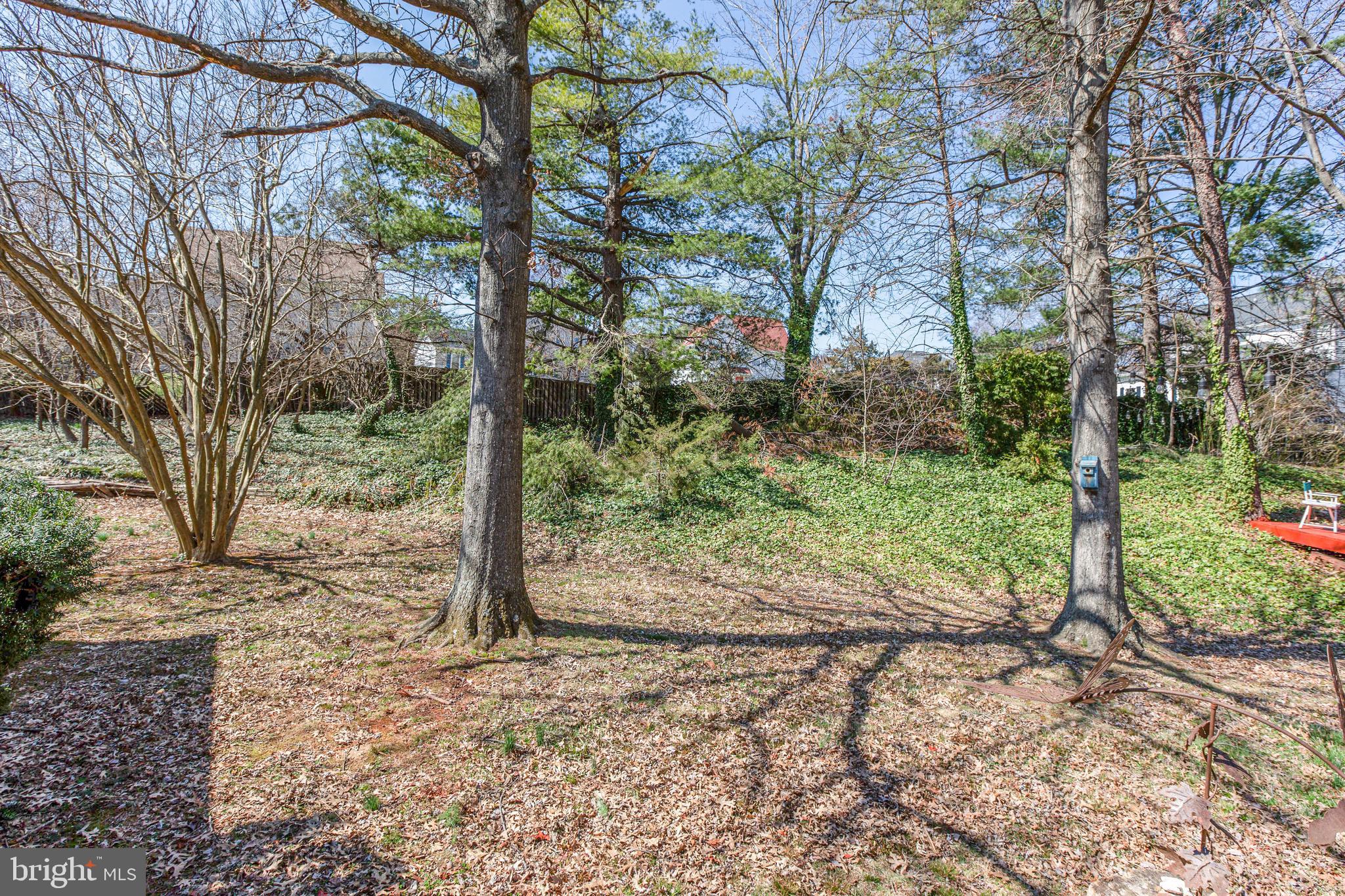 FRANCONIA - Residential