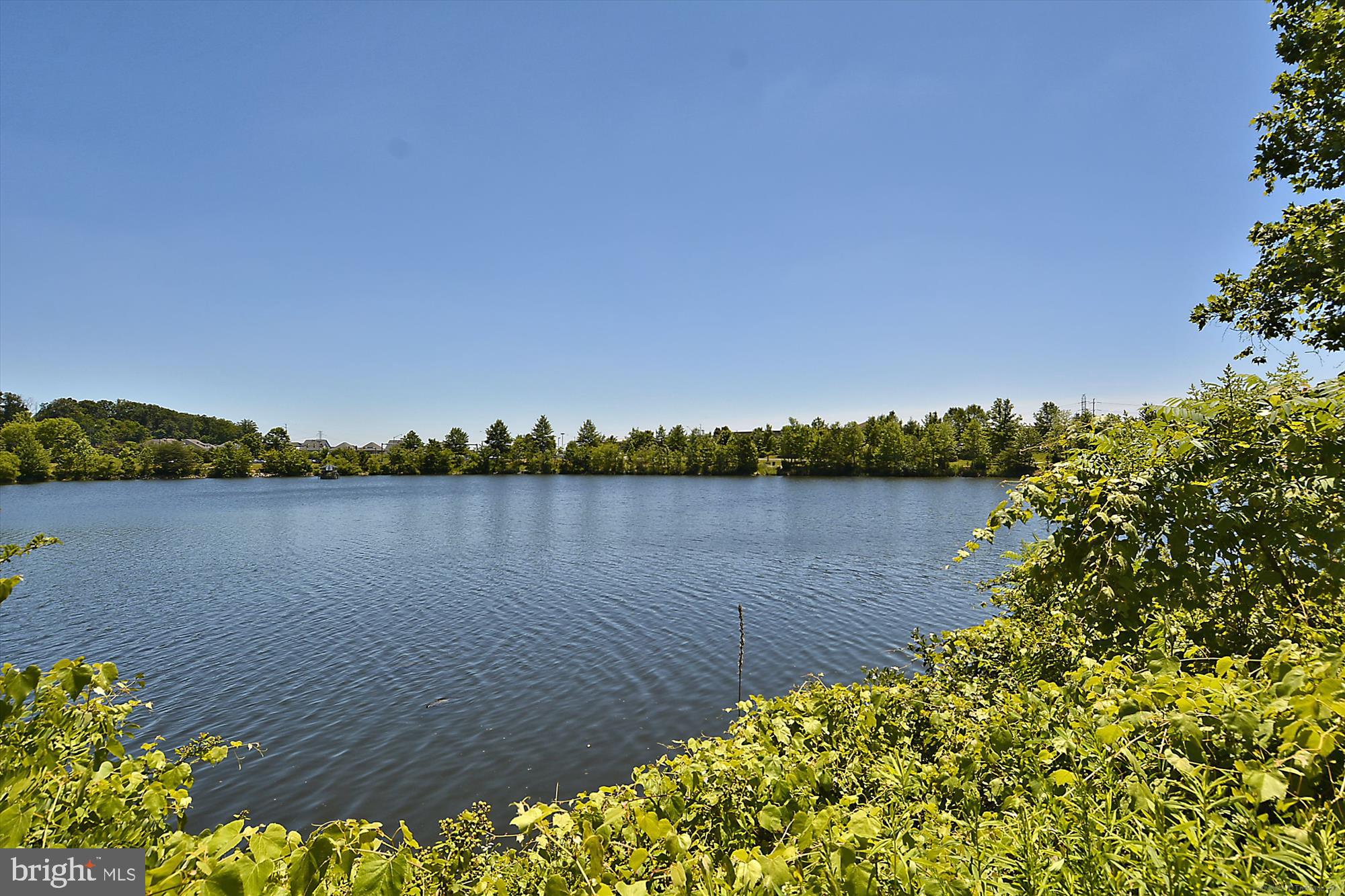 KINGSTOWNE - Residential Lease