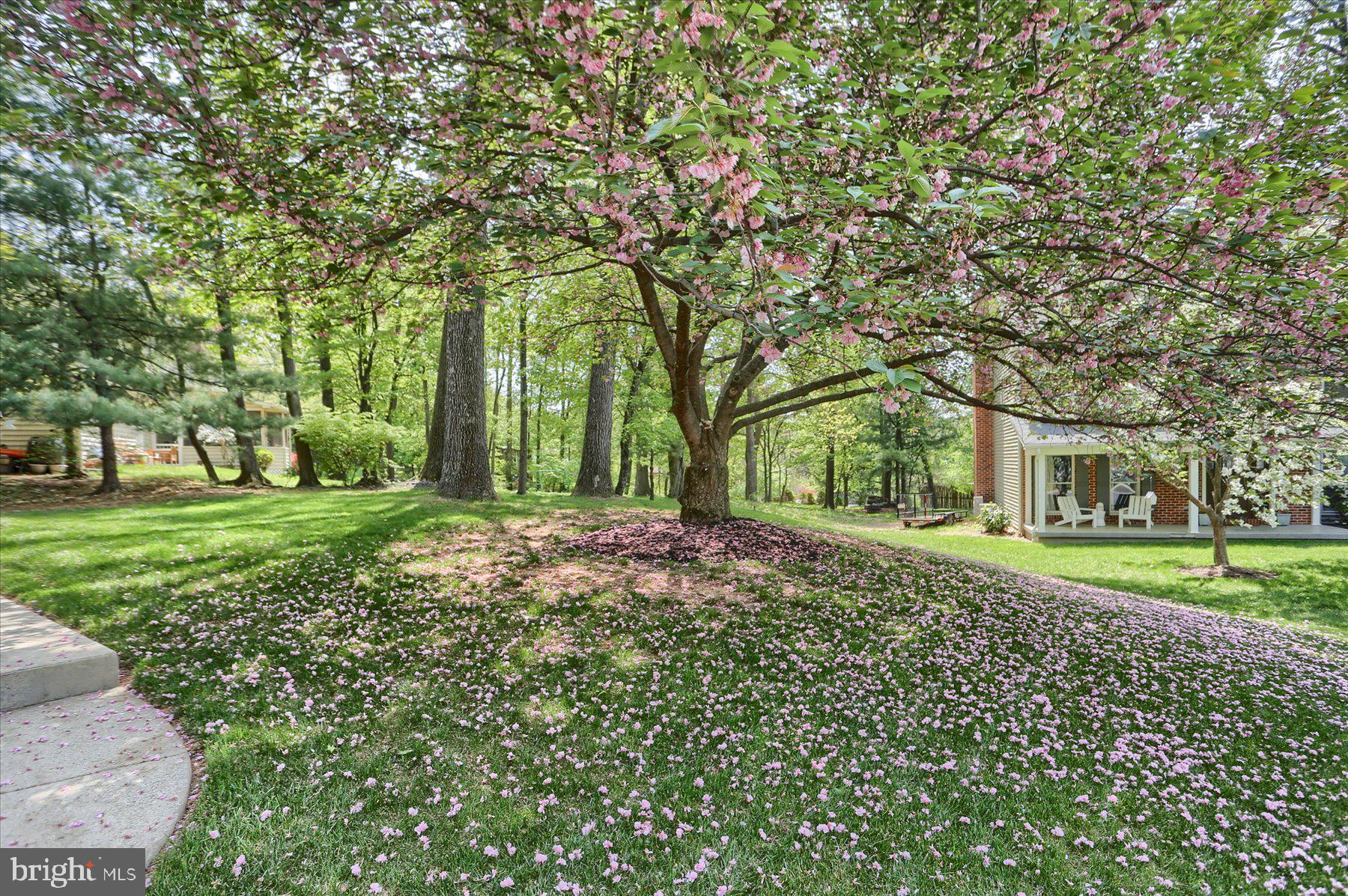 VILLAGE OF INNSBRUCK - Residential