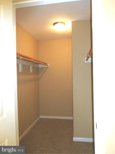 DALE CITY - Residential Lease