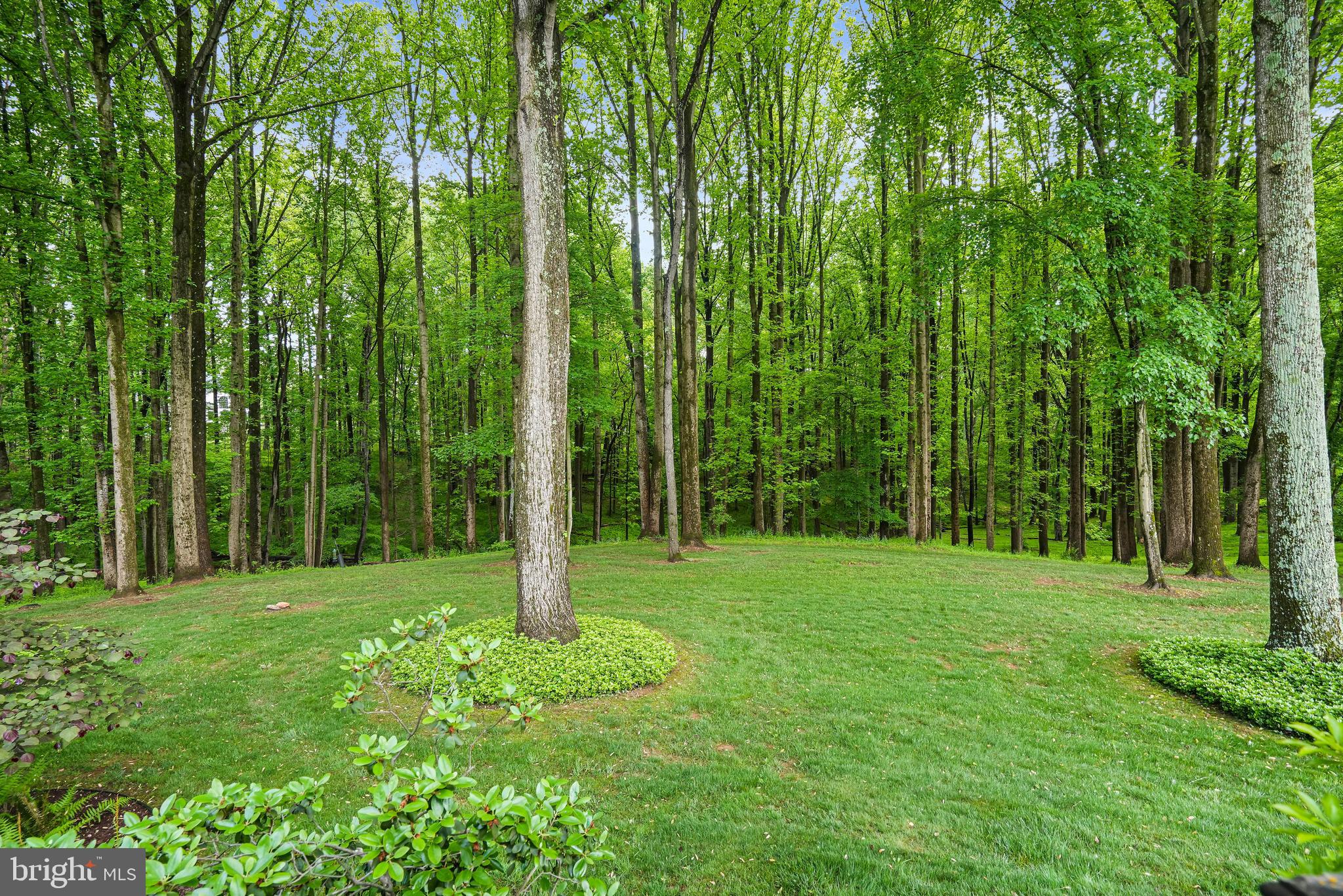 SPRING MEADOWS - Residential