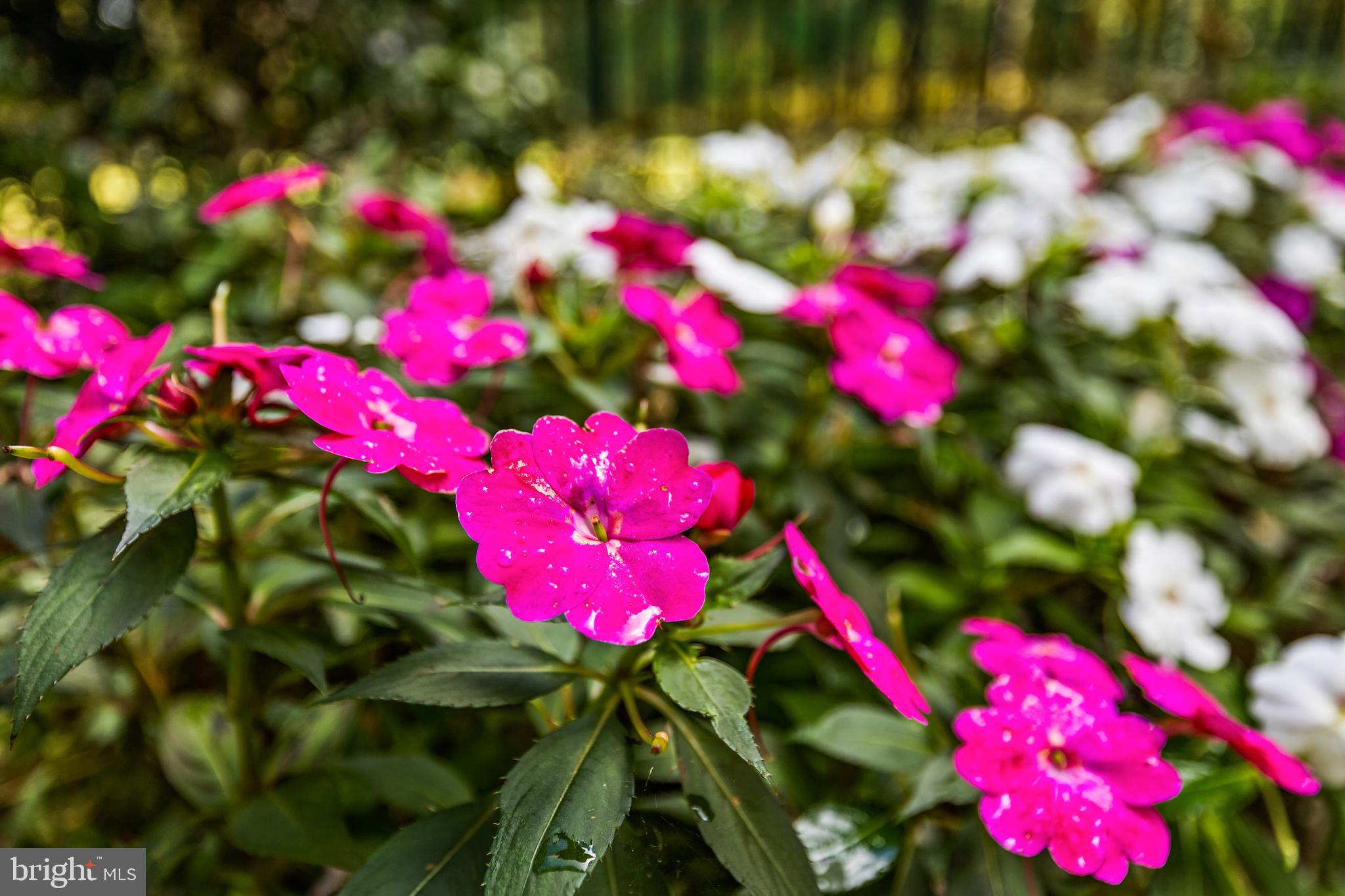 MONKTON - Residential