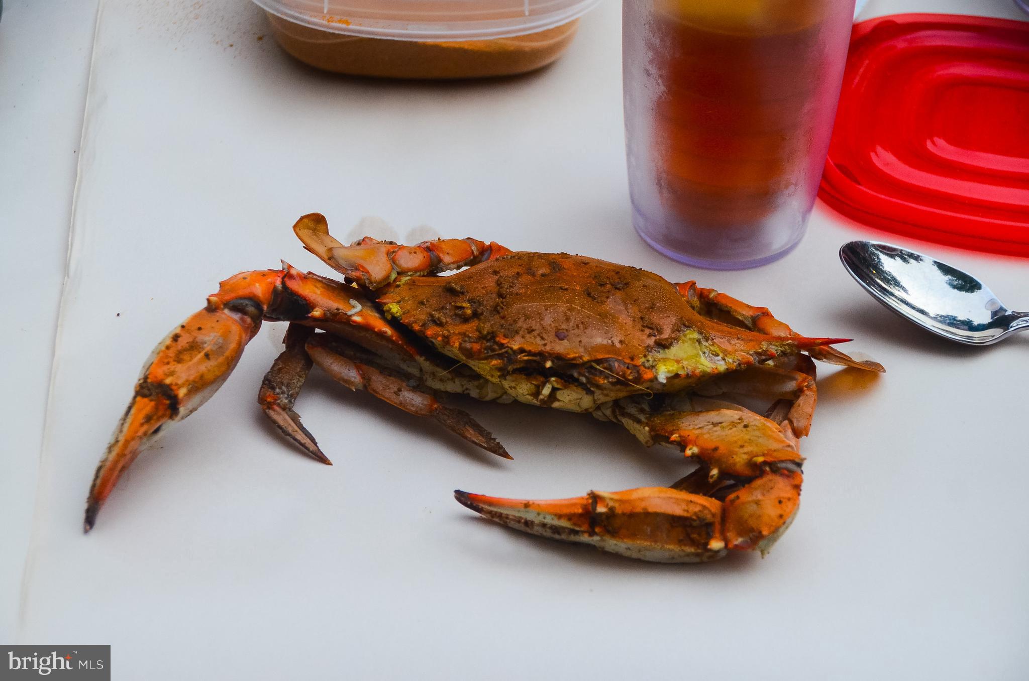 NORTH CHESAPEAKE BEACH - Residential