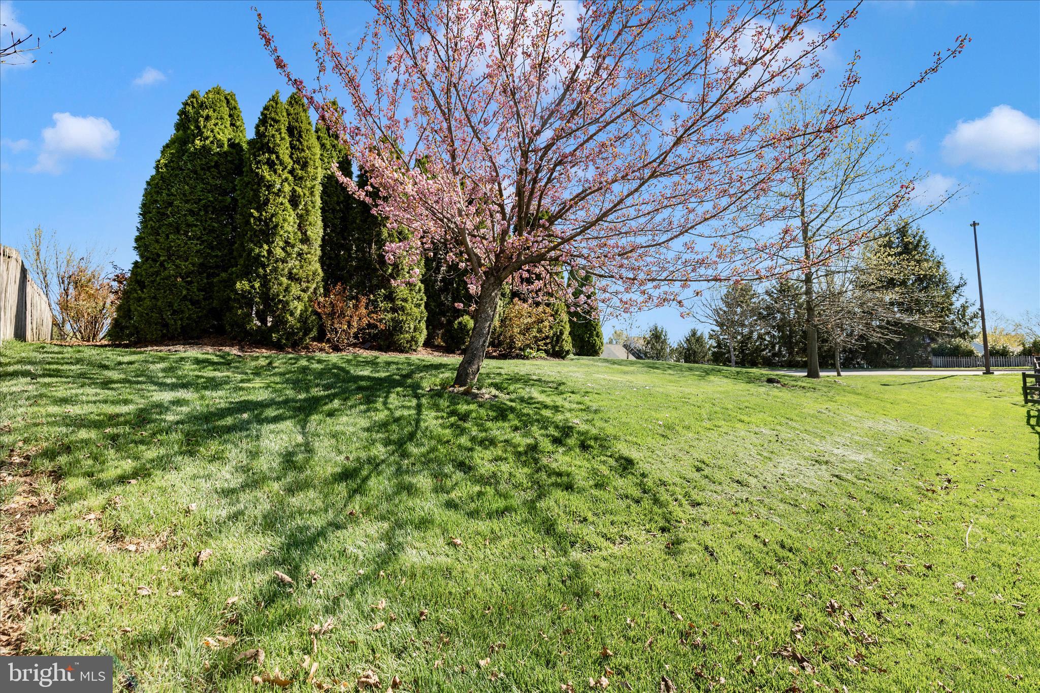 CLOVER RIDGE - Residential