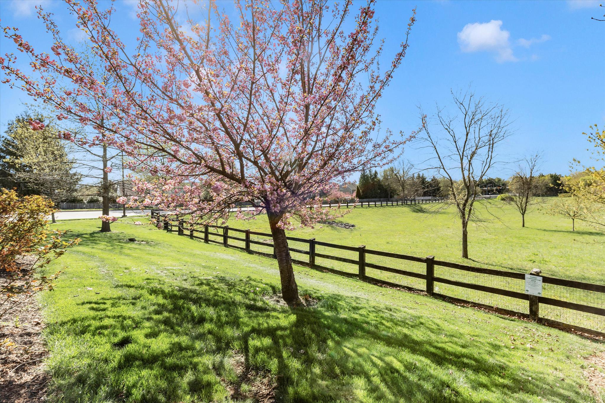 CLOVER RIDGE - Residential