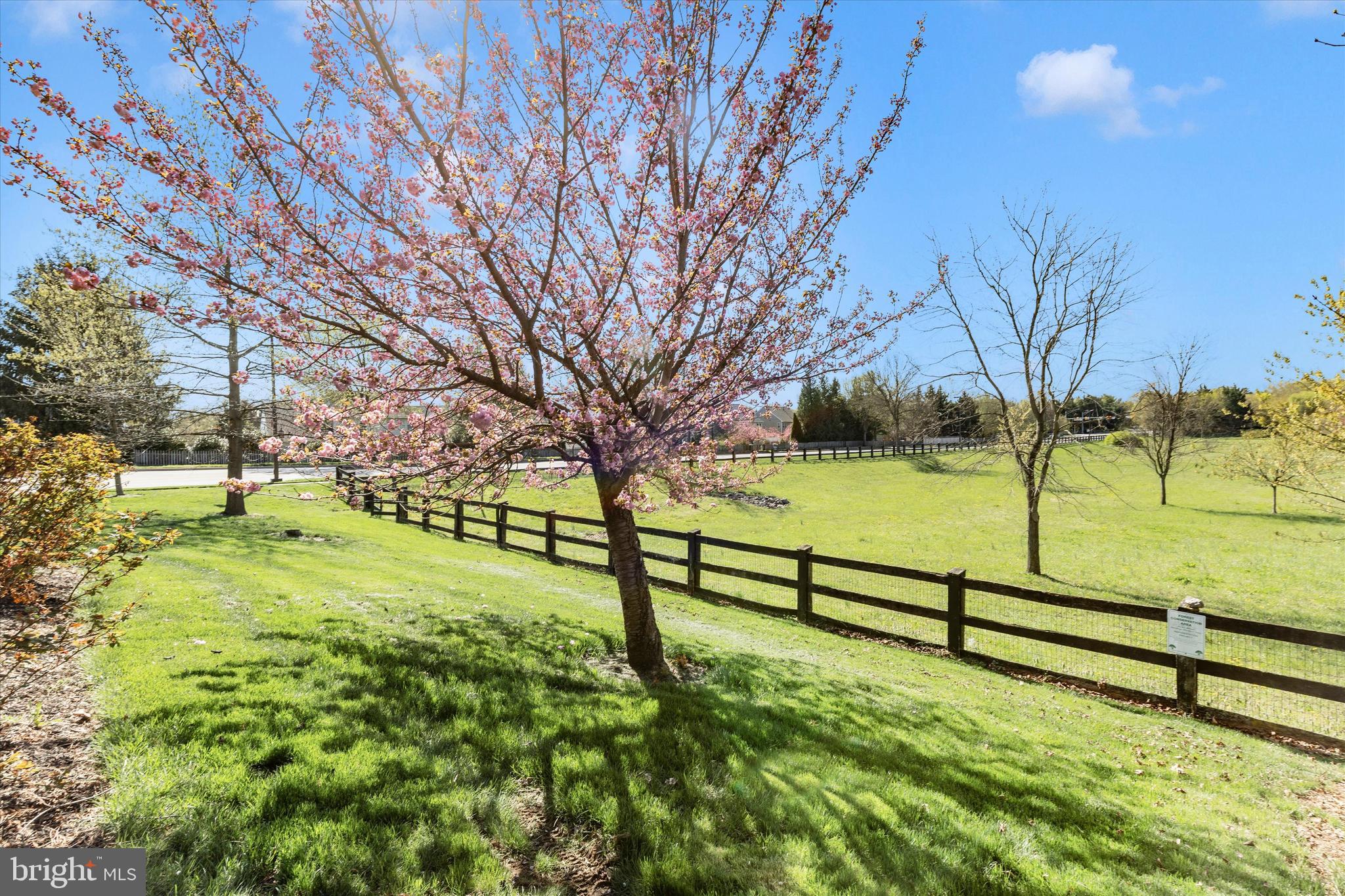 CLOVER RIDGE - Residential