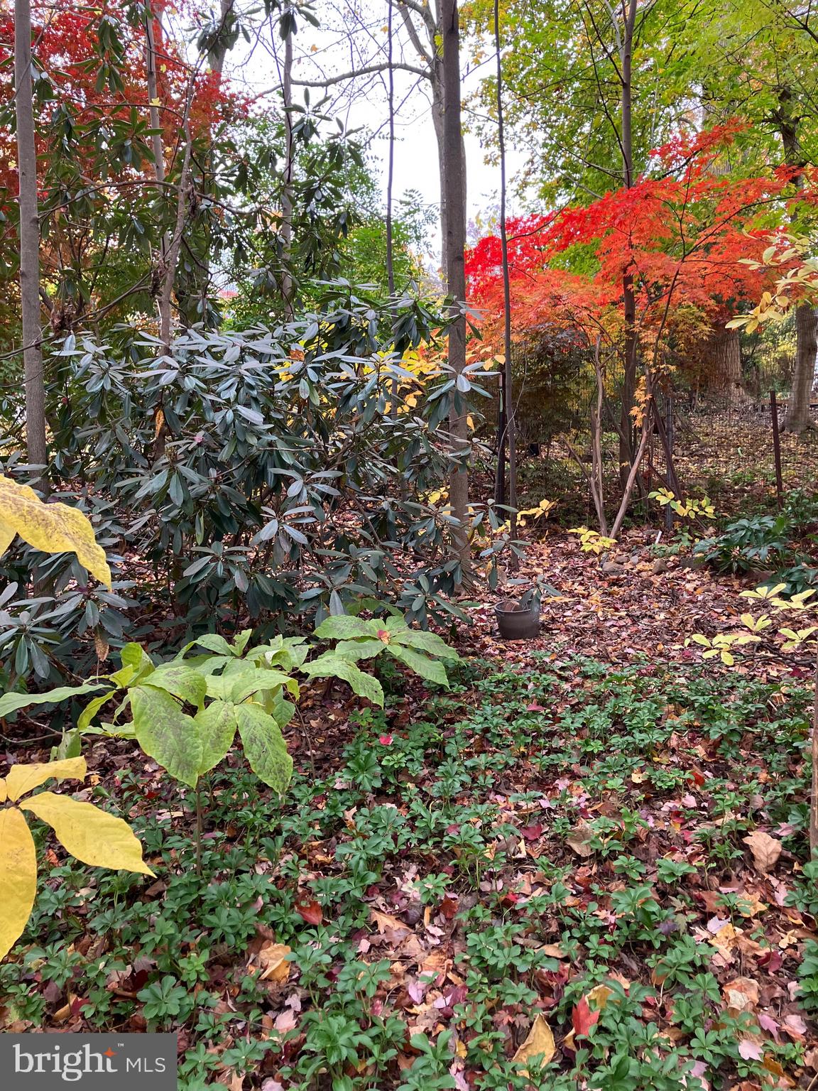 GLEN ACRES - Residential