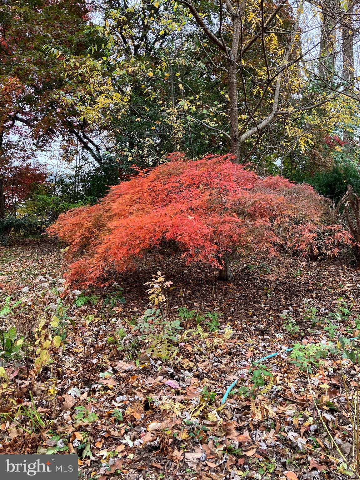 GLEN ACRES - Residential