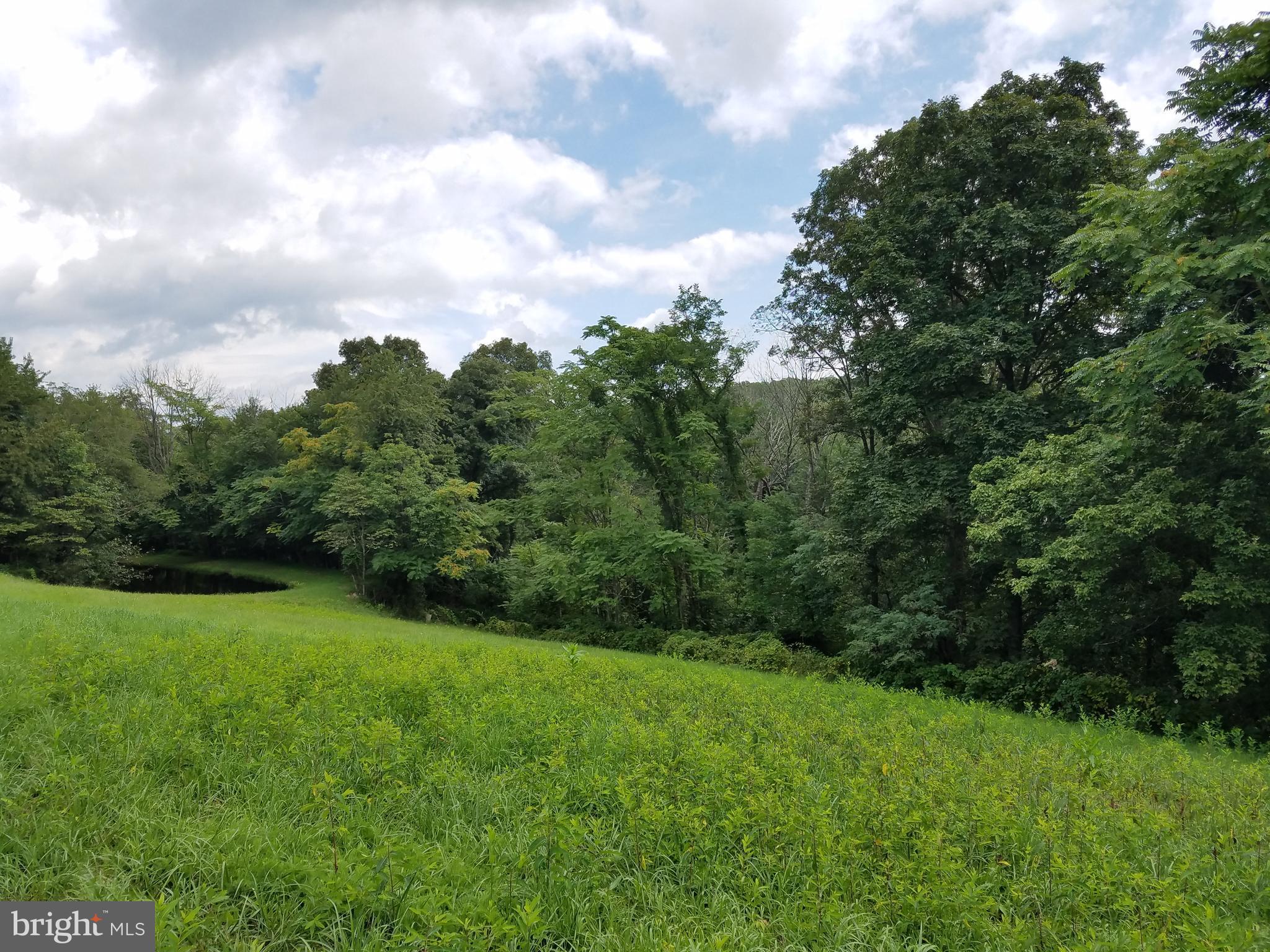 BERKELEY SPRINGS - Residential