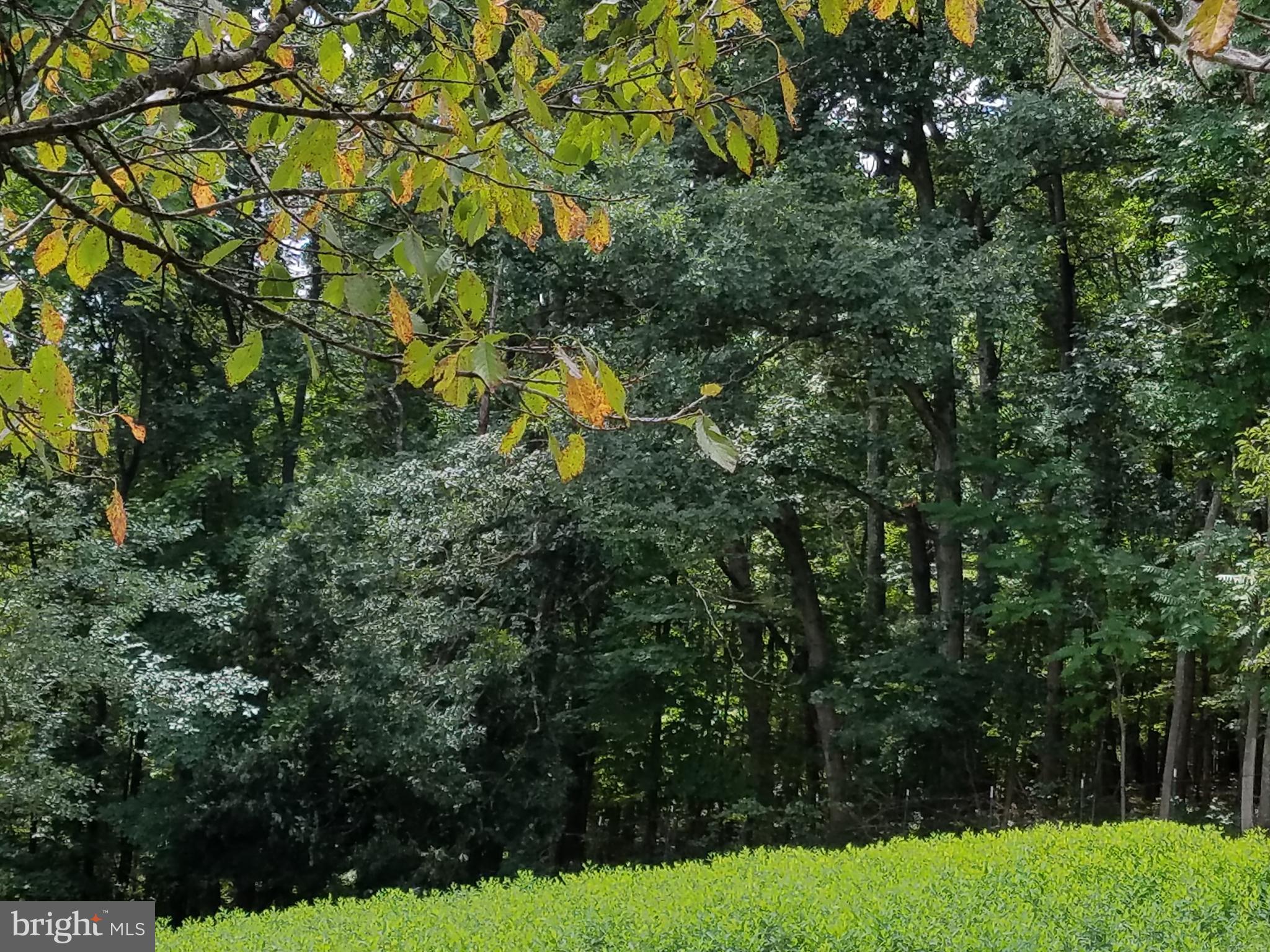 BERKELEY SPRINGS - Residential