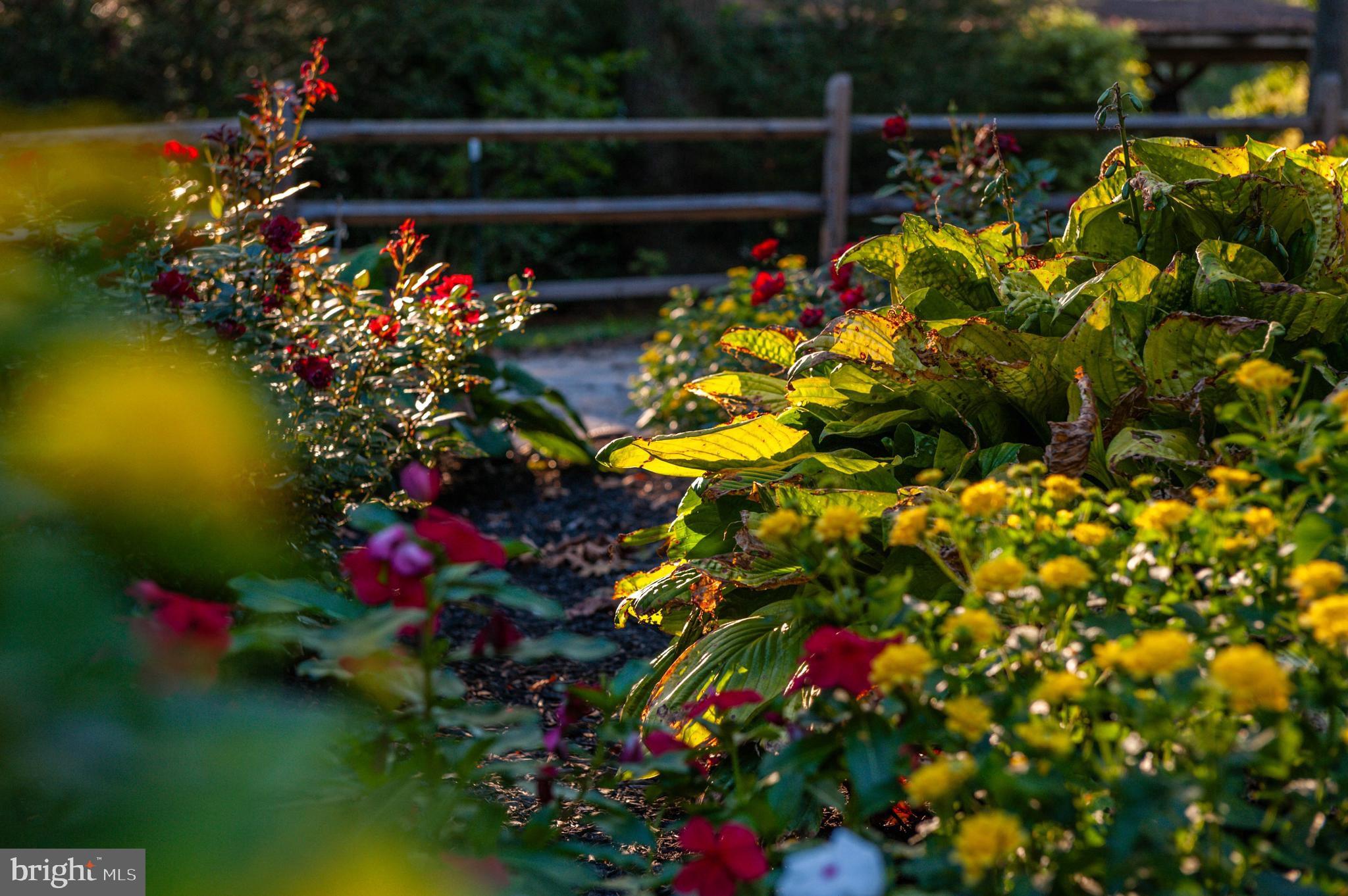 MONKTON - Residential Lease