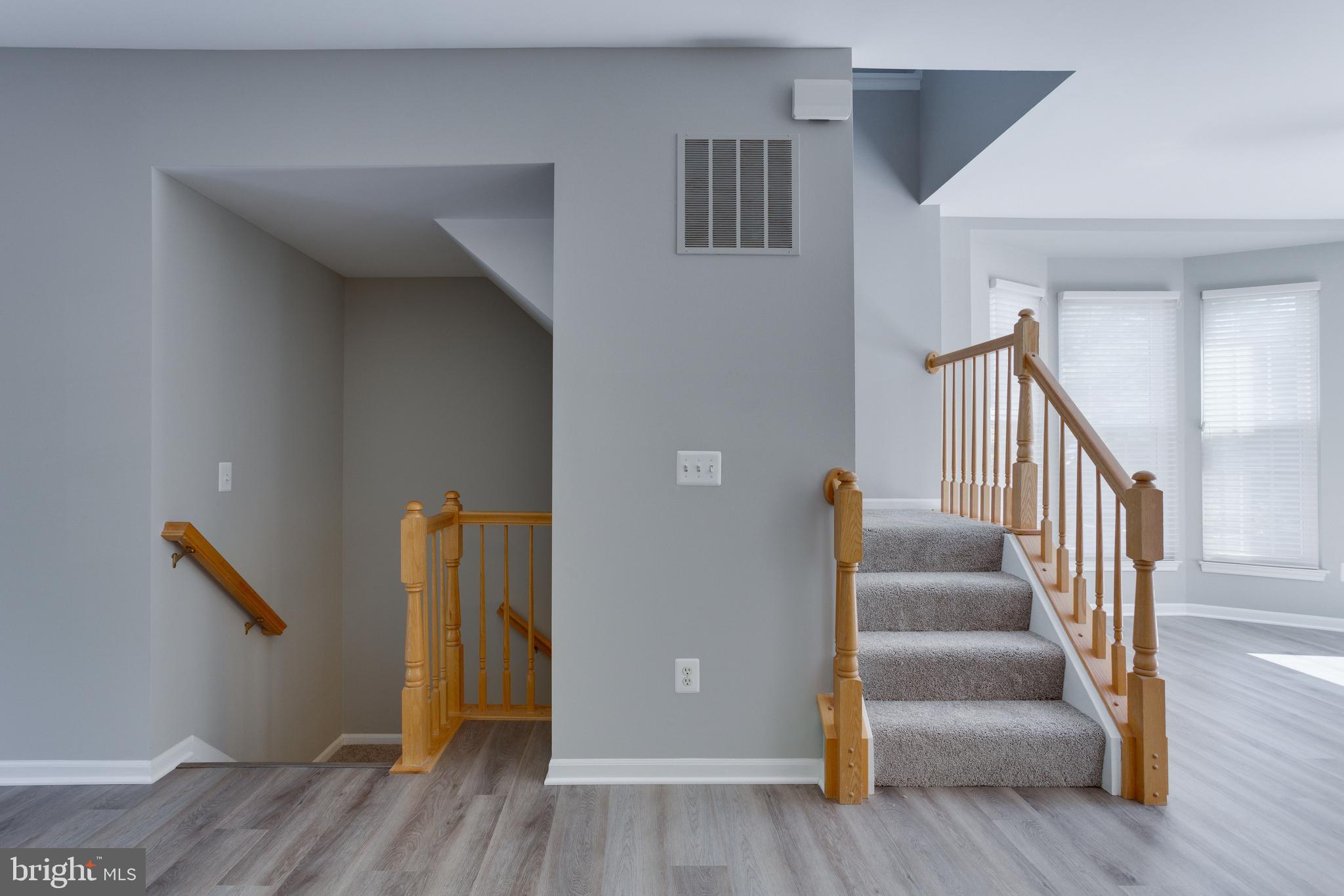 GREAT FALLS CHASE - Residential