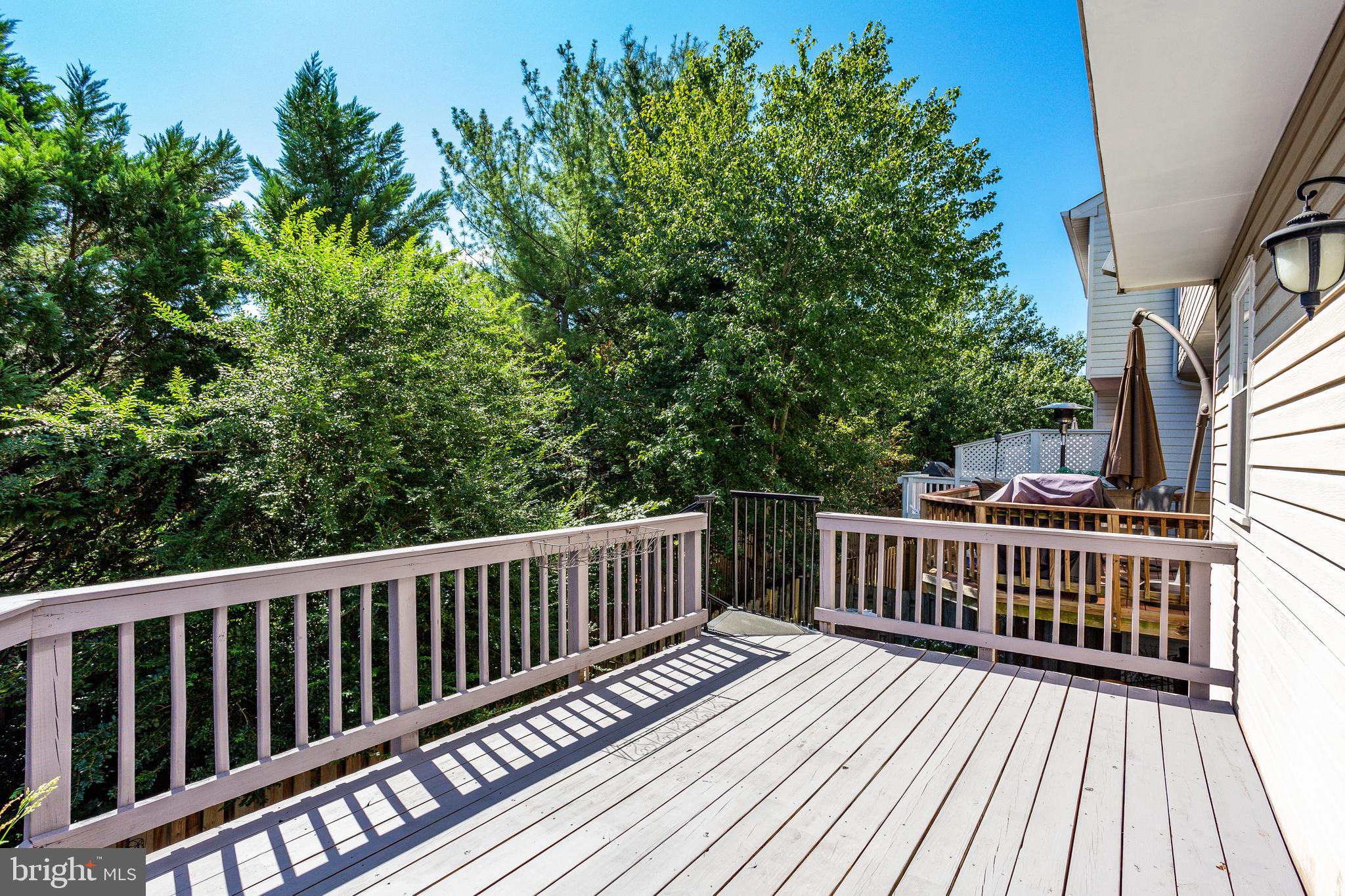 GREAT FALLS CHASE - Residential