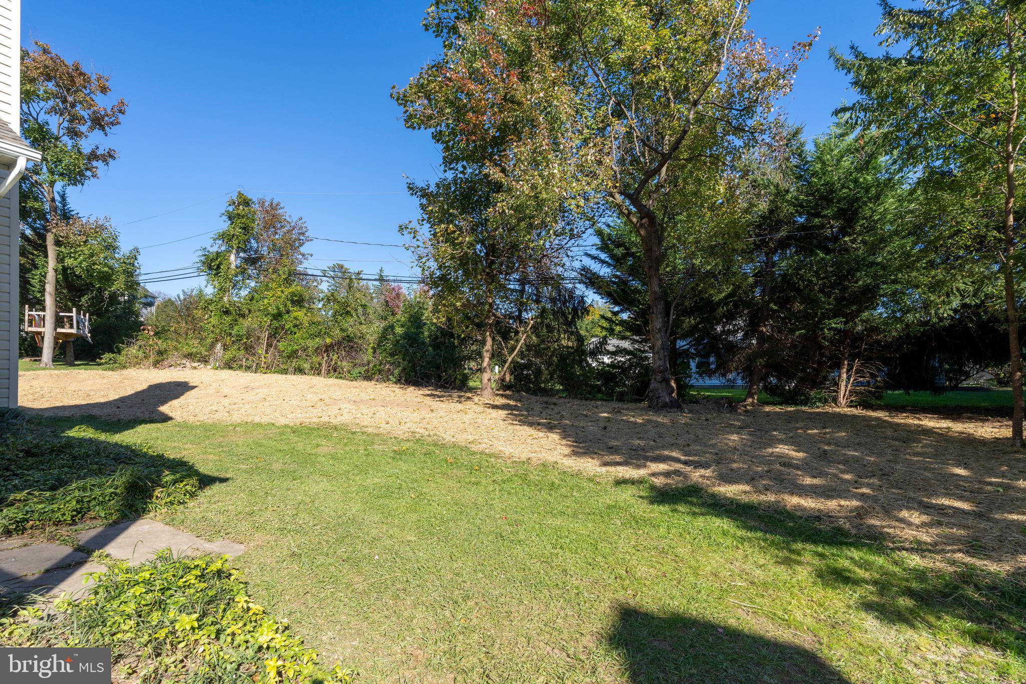 THE WILLOWS OF RUXTON - Residential