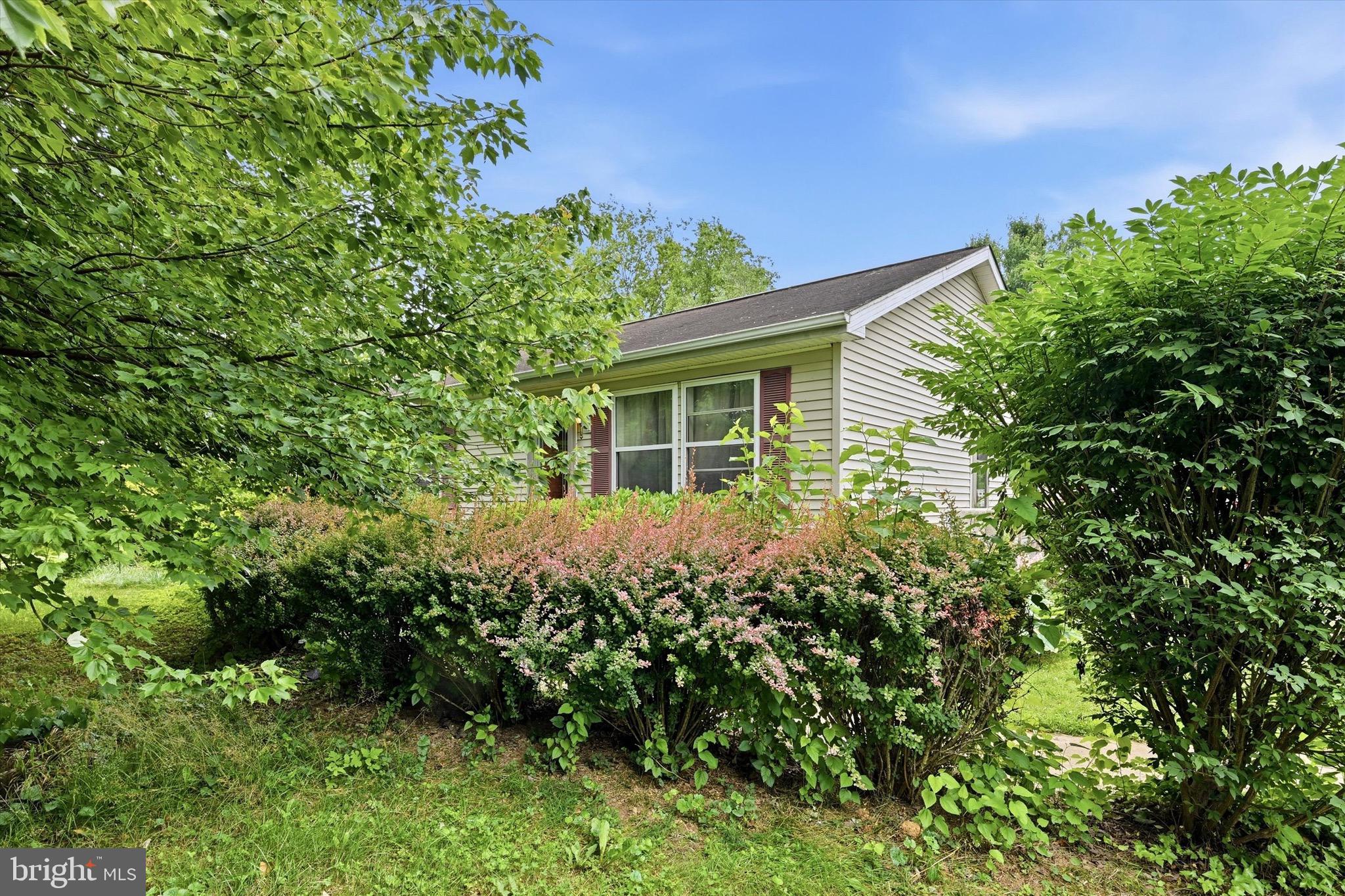 10 HOMESTEAD LANE