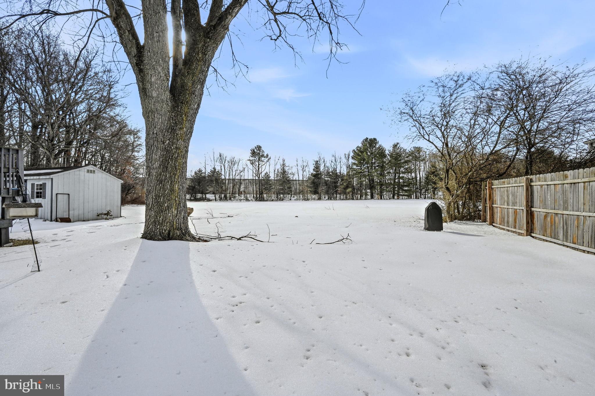 SCOTTFIELD - Residential