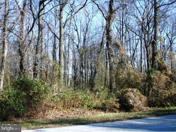 9TH ST & SWAN AVE LOTS 364-365, 371-374, 382-387