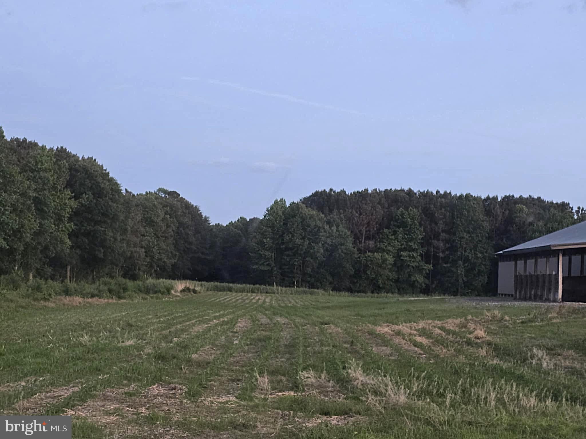 NONE AVAILABLE - Farm