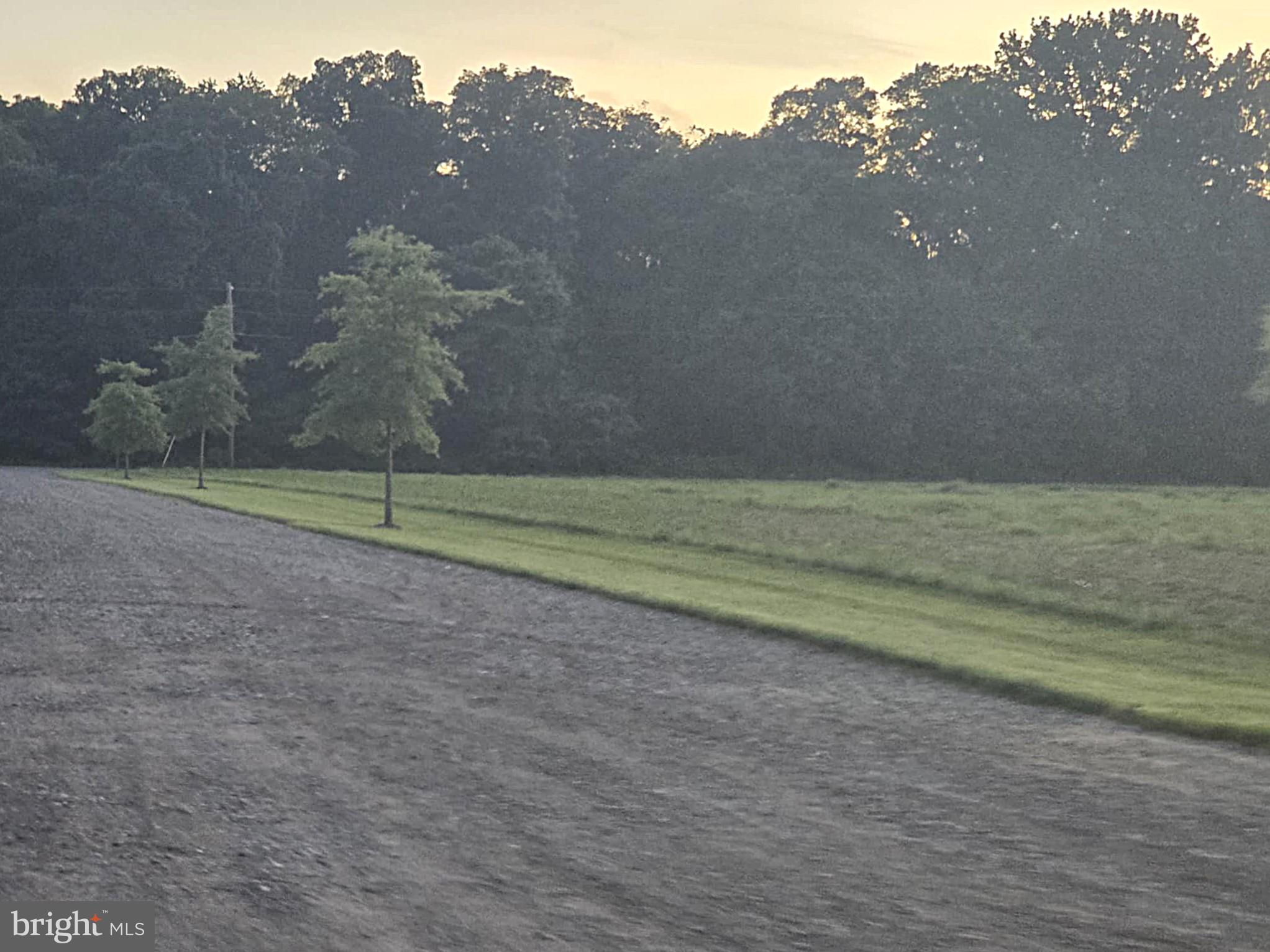 NONE AVAILABLE - Farm