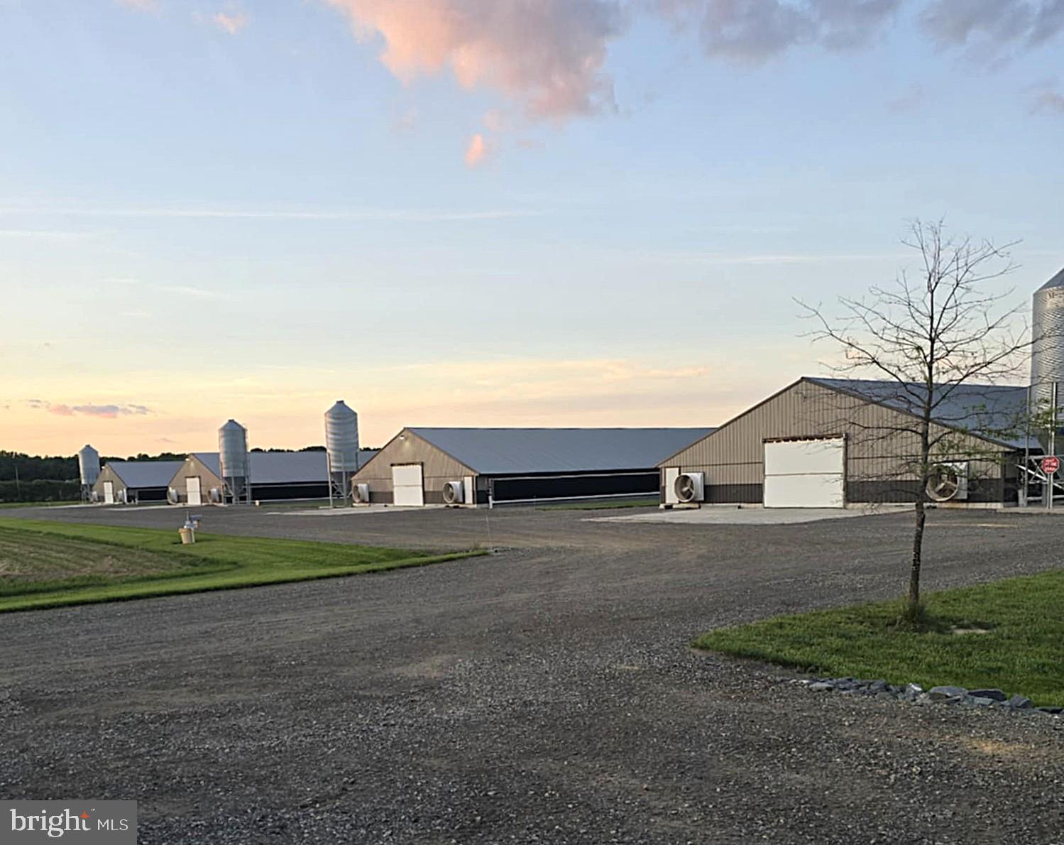 NONE AVAILABLE - Farm