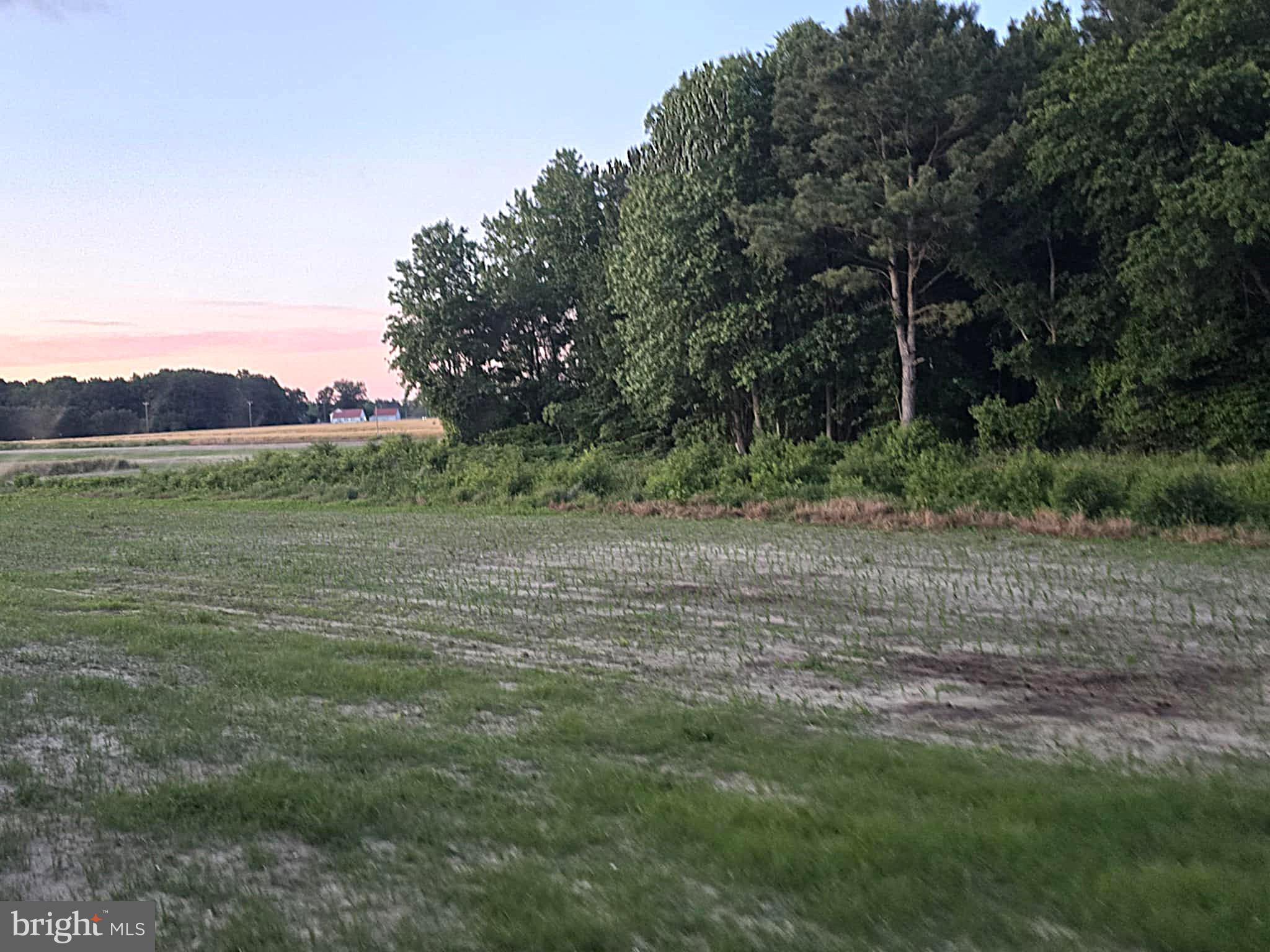 NONE AVAILABLE - Farm