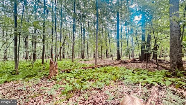 10 Acre lot with 10 gpm well. Stream access at bottom of property. Forrest conservation program- trees are marked for property lines and well is marked with flags.