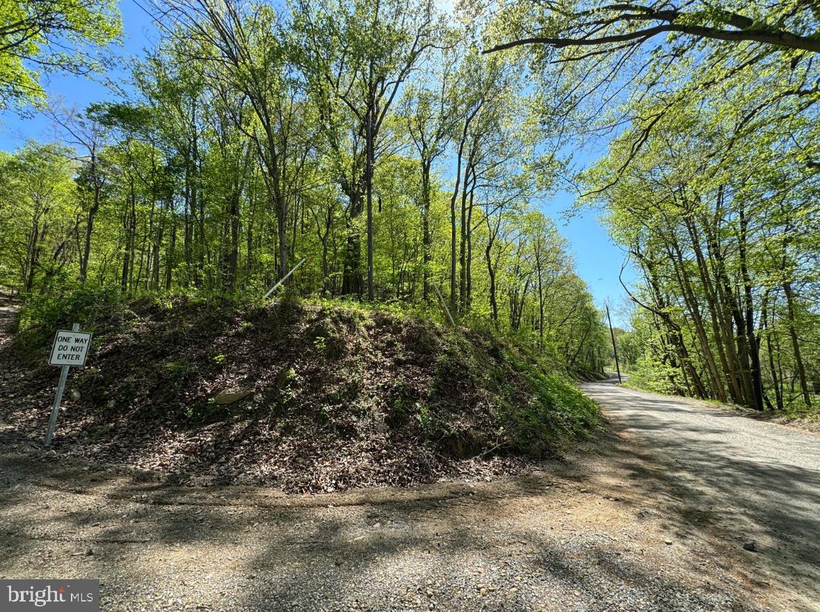 PARKER LANE