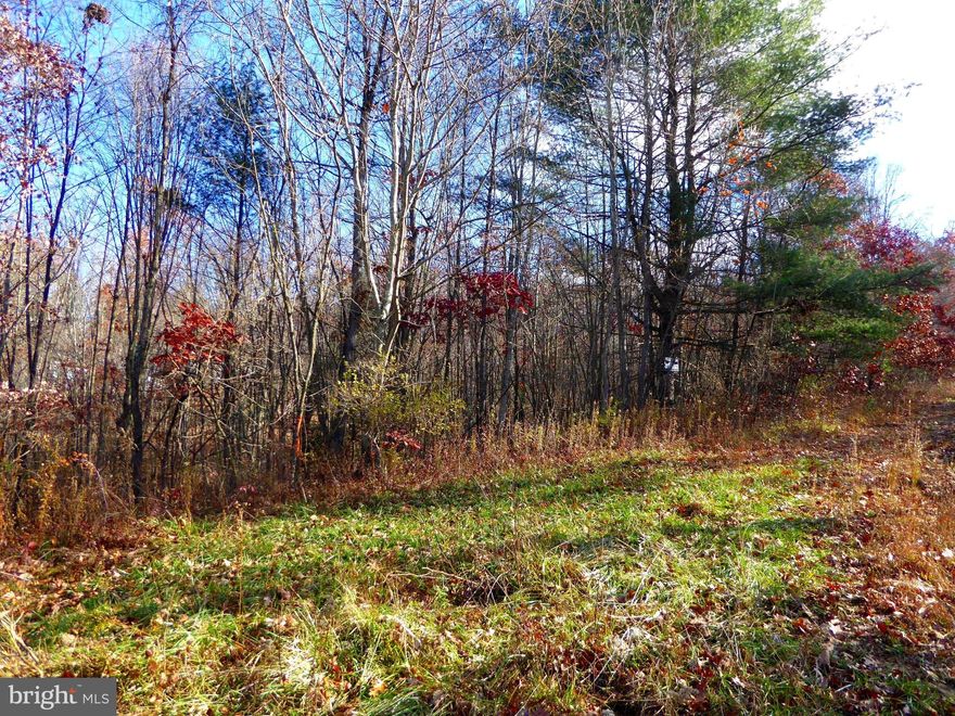 MOTIVATED SELLER!  Nestled in the trees sits this .49 acre lot that would make for a great build site for your new forever home or weekend get away! The HOA is inactive, but trailers are allowed in this subdivision.  A driveway path has already been cleared of trees and this hidden gem gives you the privacy and beauty of the West Virginia hills and is only a 45 minute commute to all the amenities of the city of Winchester and access to I-81. **DRIVEWAY REQUIRES 4WD**