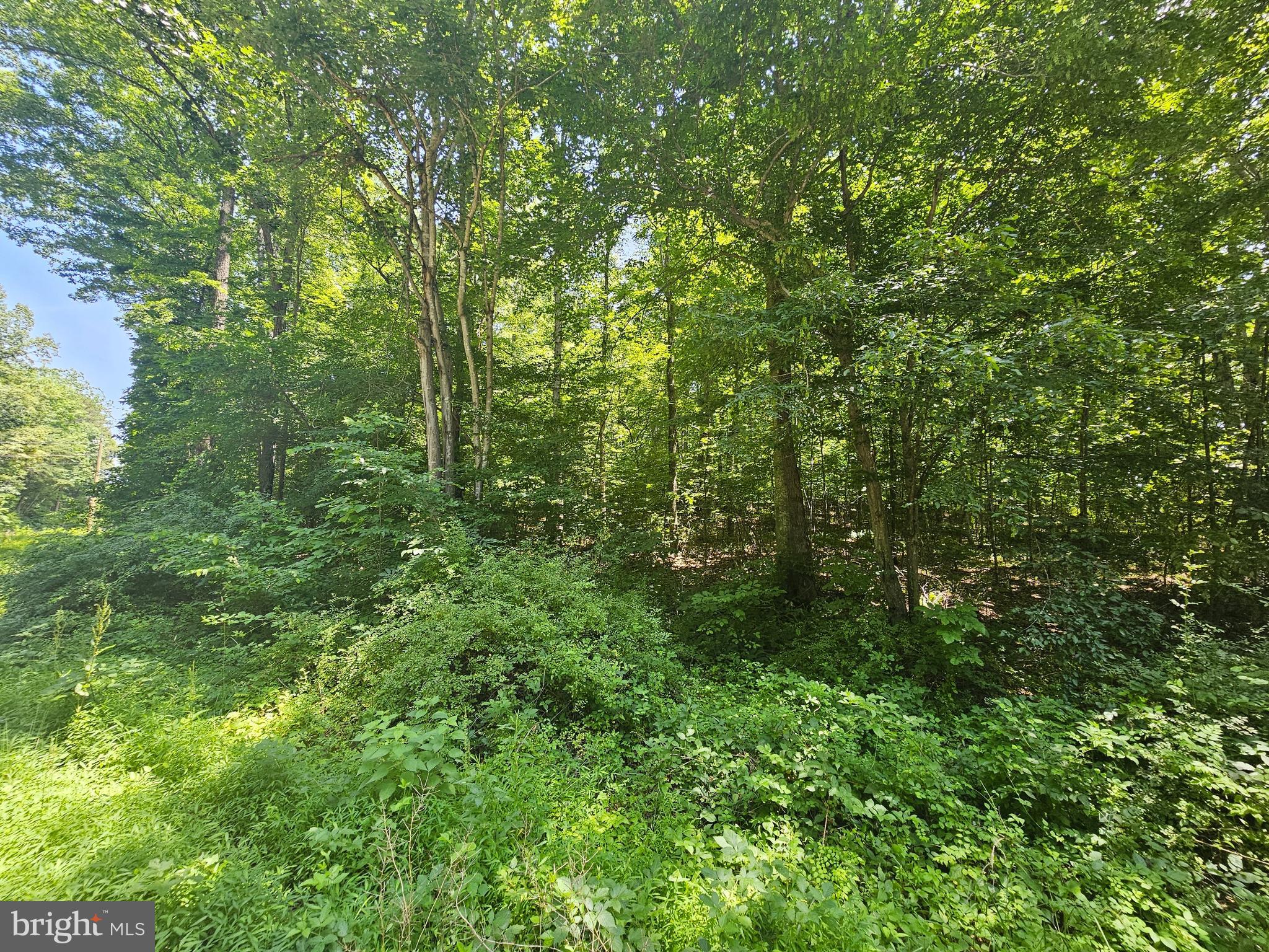 NONE AVAILABLE - Land