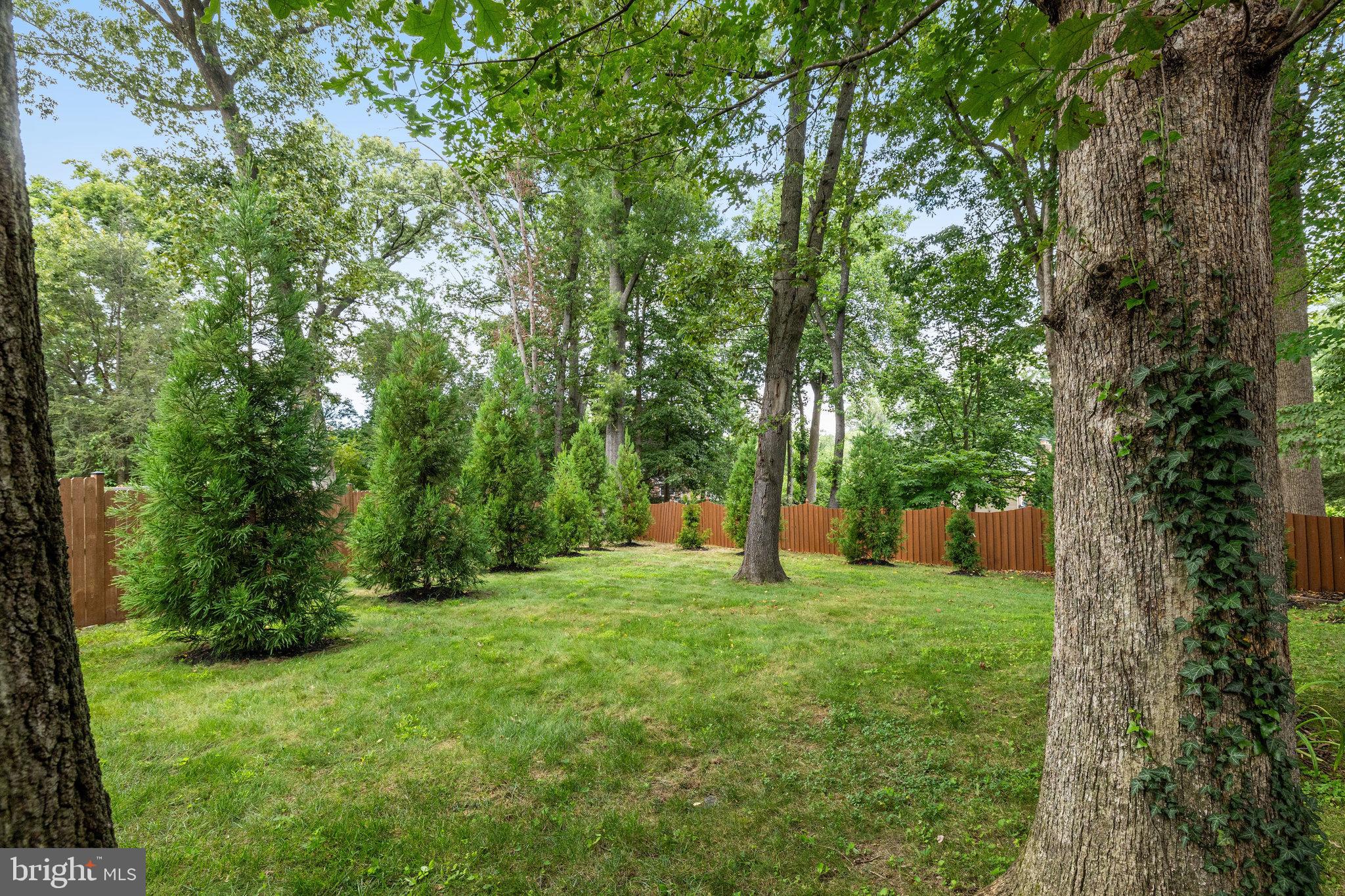 MANTUA - Residential