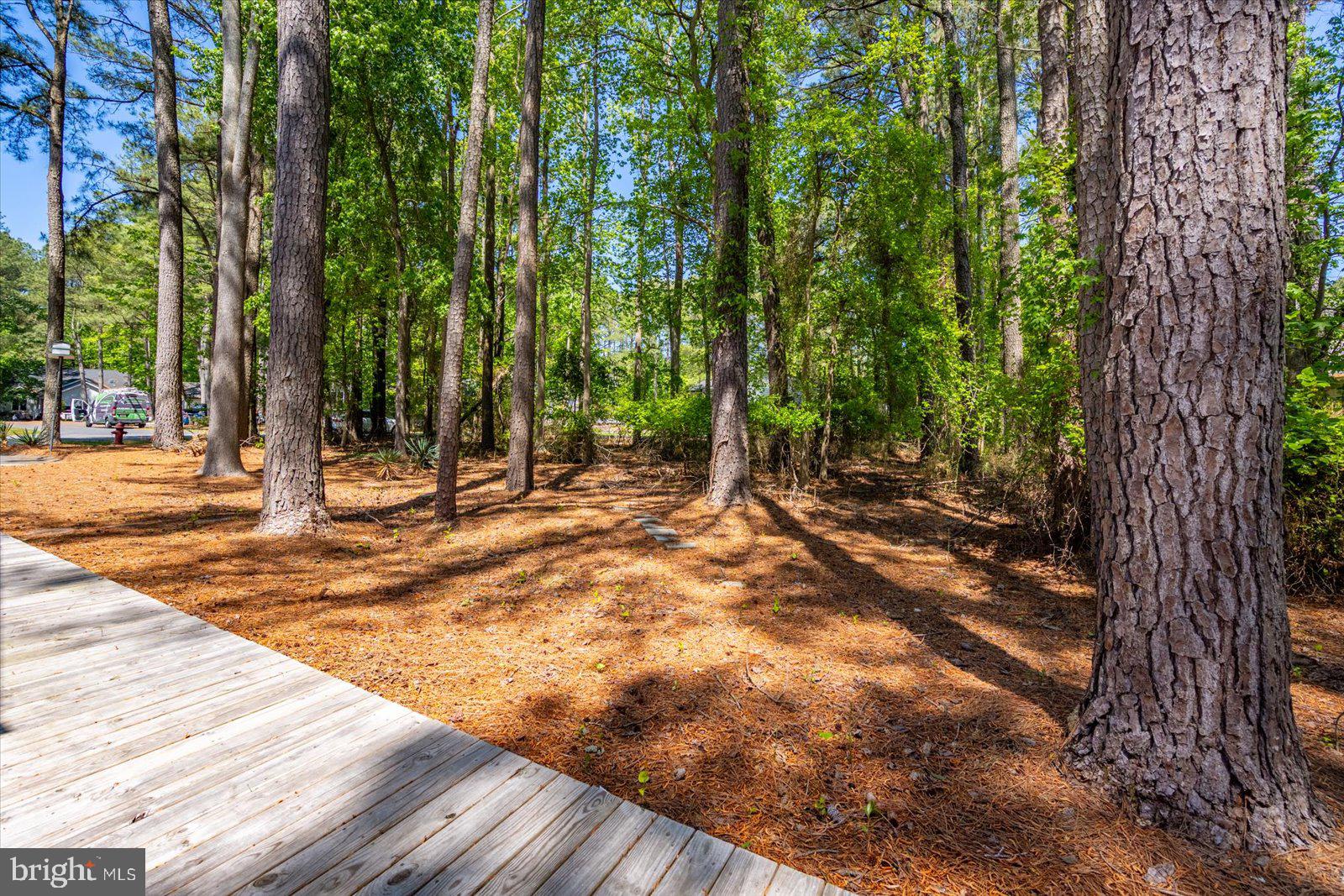 OCEAN PINES - SHERWOOD FOREST - Residential