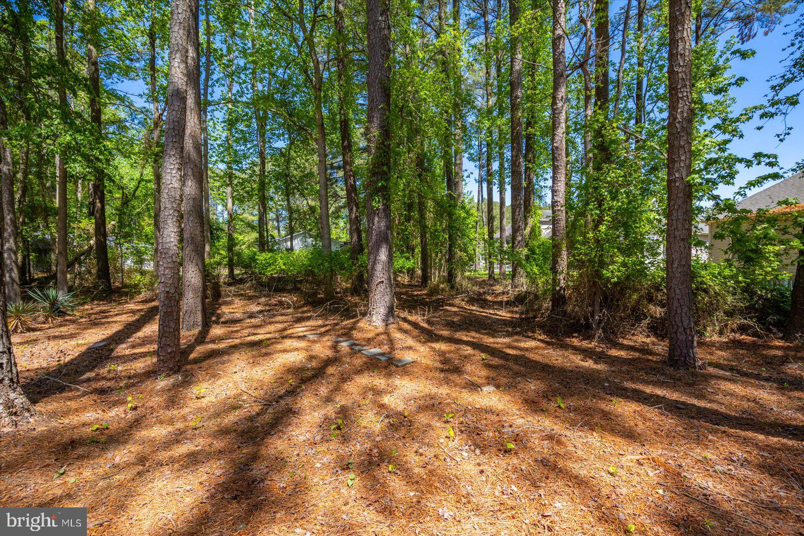 OCEAN PINES - SHERWOOD FOREST - Residential