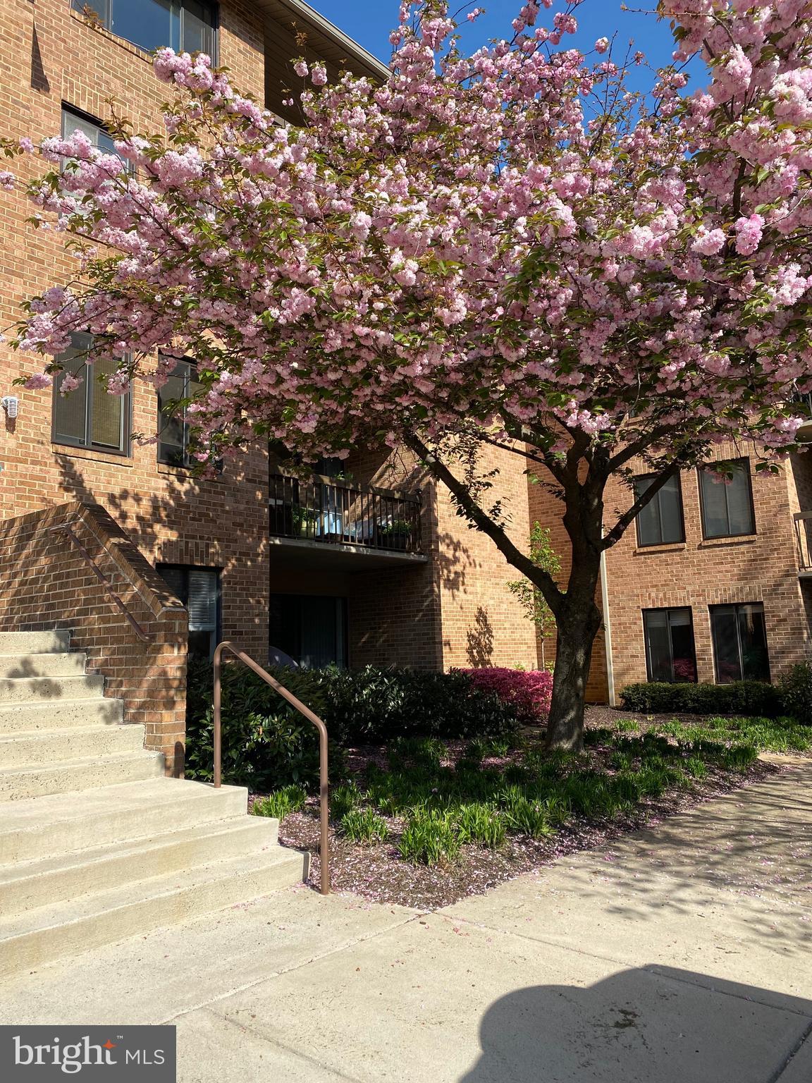 OLD GEORGETOWN VILL CODM - Residential Lease