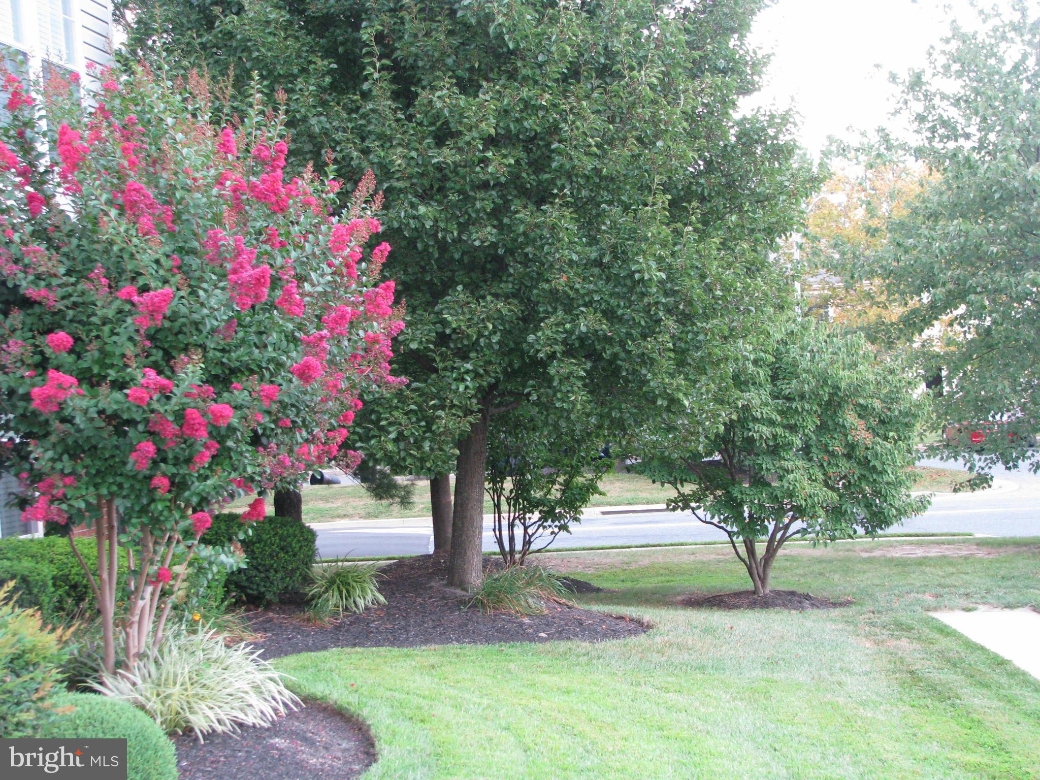 SOUTHFIELD AT WHITEMARSH - Residential