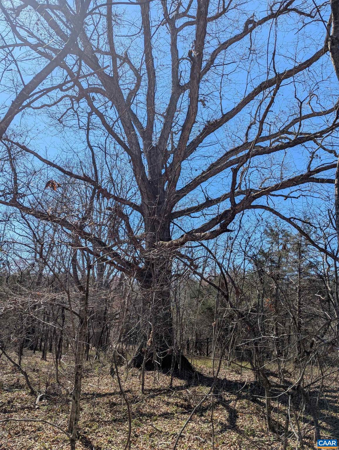 NONE AVAILABLE - Land