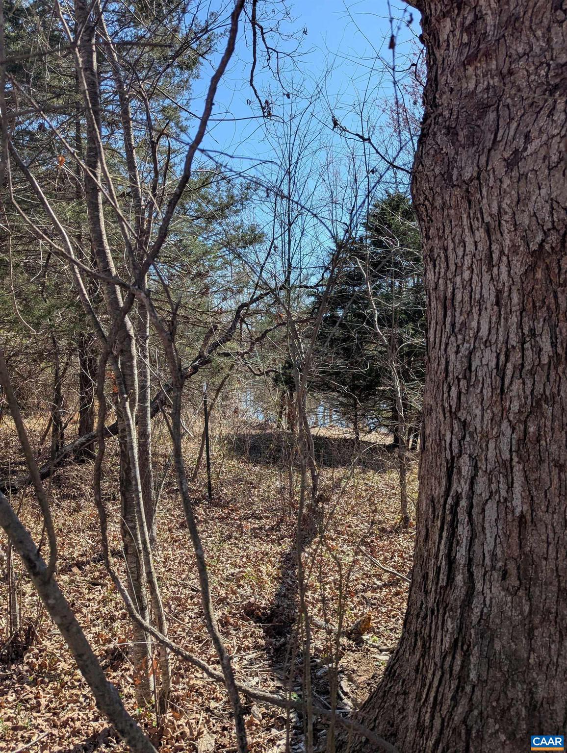 NONE AVAILABLE - Land