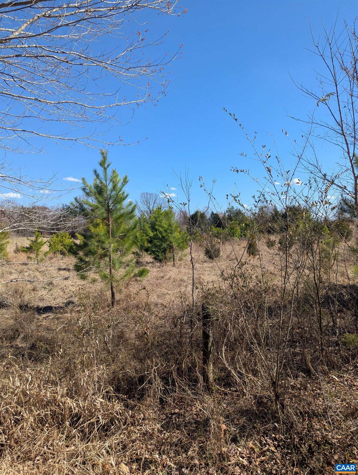 NONE AVAILABLE - Land