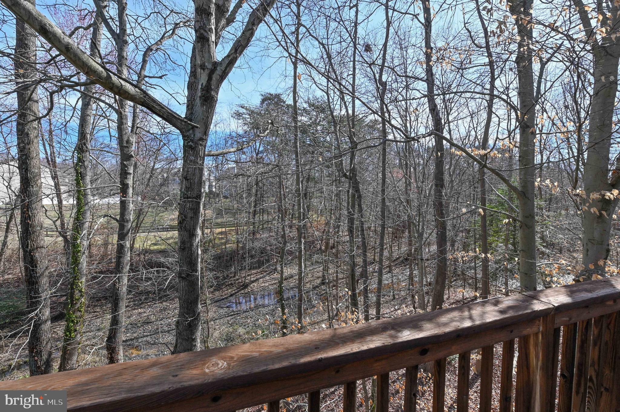 RIVA TRACE/SPRING PLACE - Residential