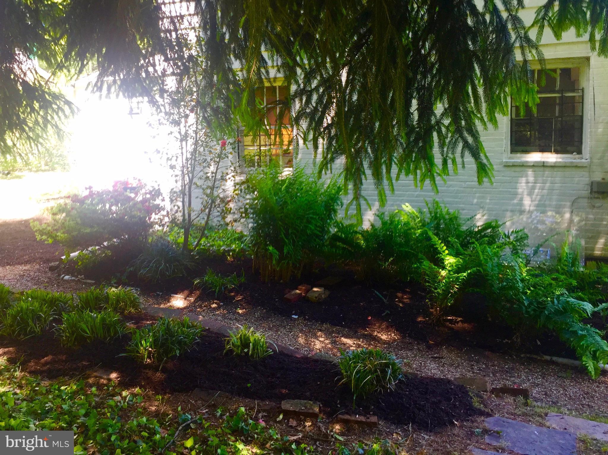 DICKEYVILLE HISTORIC DISTRICT - Residential