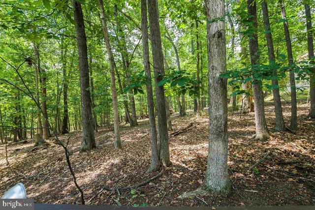 MASSANUTTEN - Residential