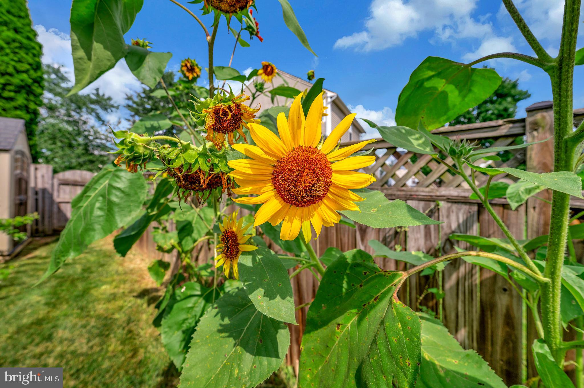 BEALETON STATION - Residential
