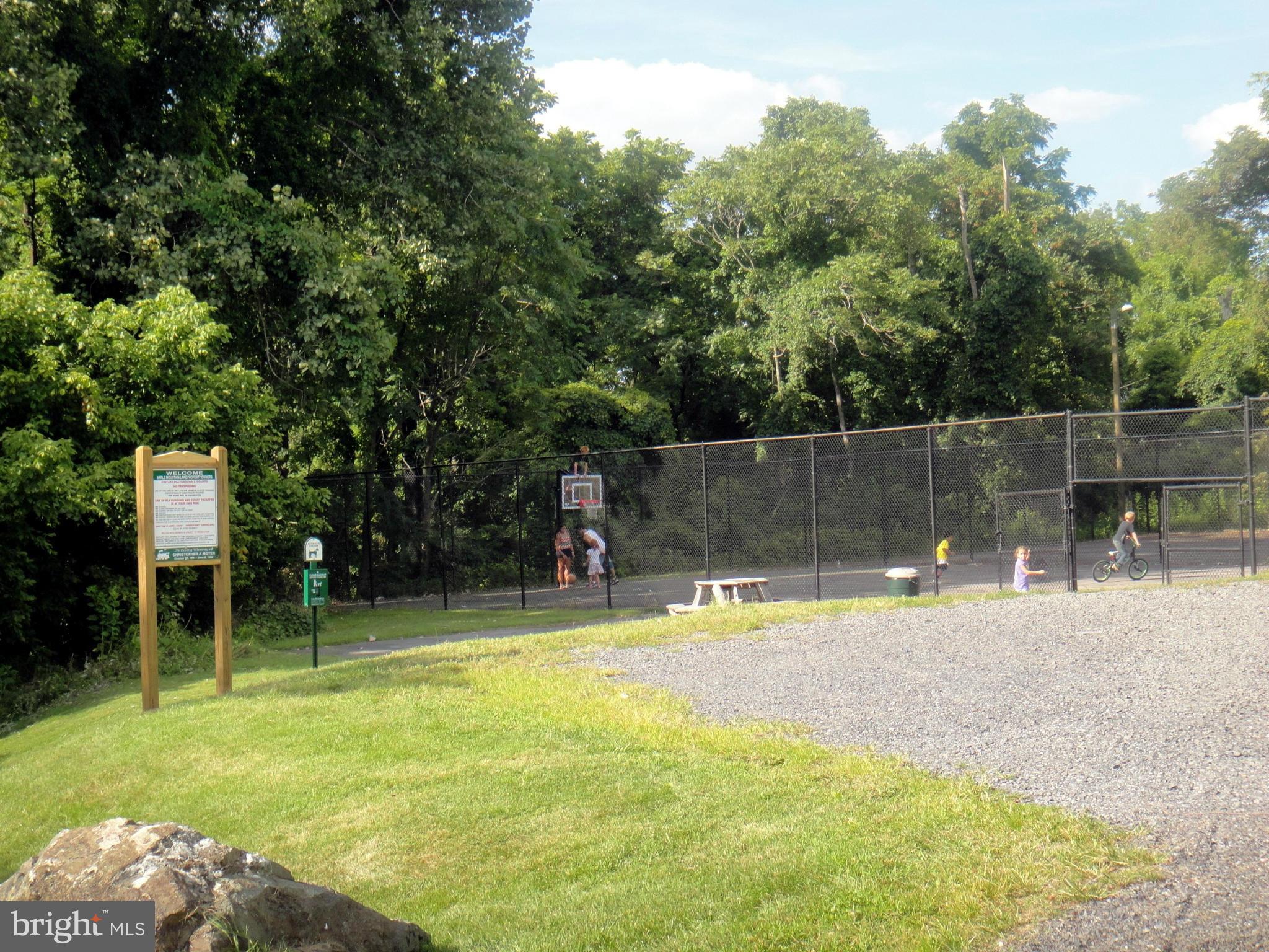 APPLE MT LAKE - Land