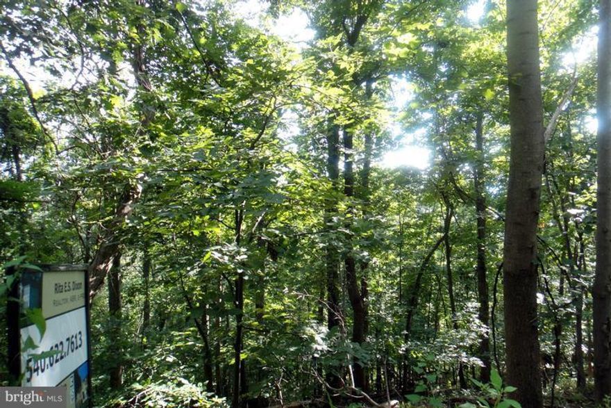 "Natural" 1.2a lot w/ view, wildlife & mature trees in an established, neighborhood mins to I-66. Apple Mt Lake's sought after community offers:swimming lake, play ground, tennis/ basketball courts. Close to urban while living back in nature. Lakes, rivers, wineries & state parks nearby & yet apx 1 hour from DC. Sold as-is. No perc work or survey has been done.