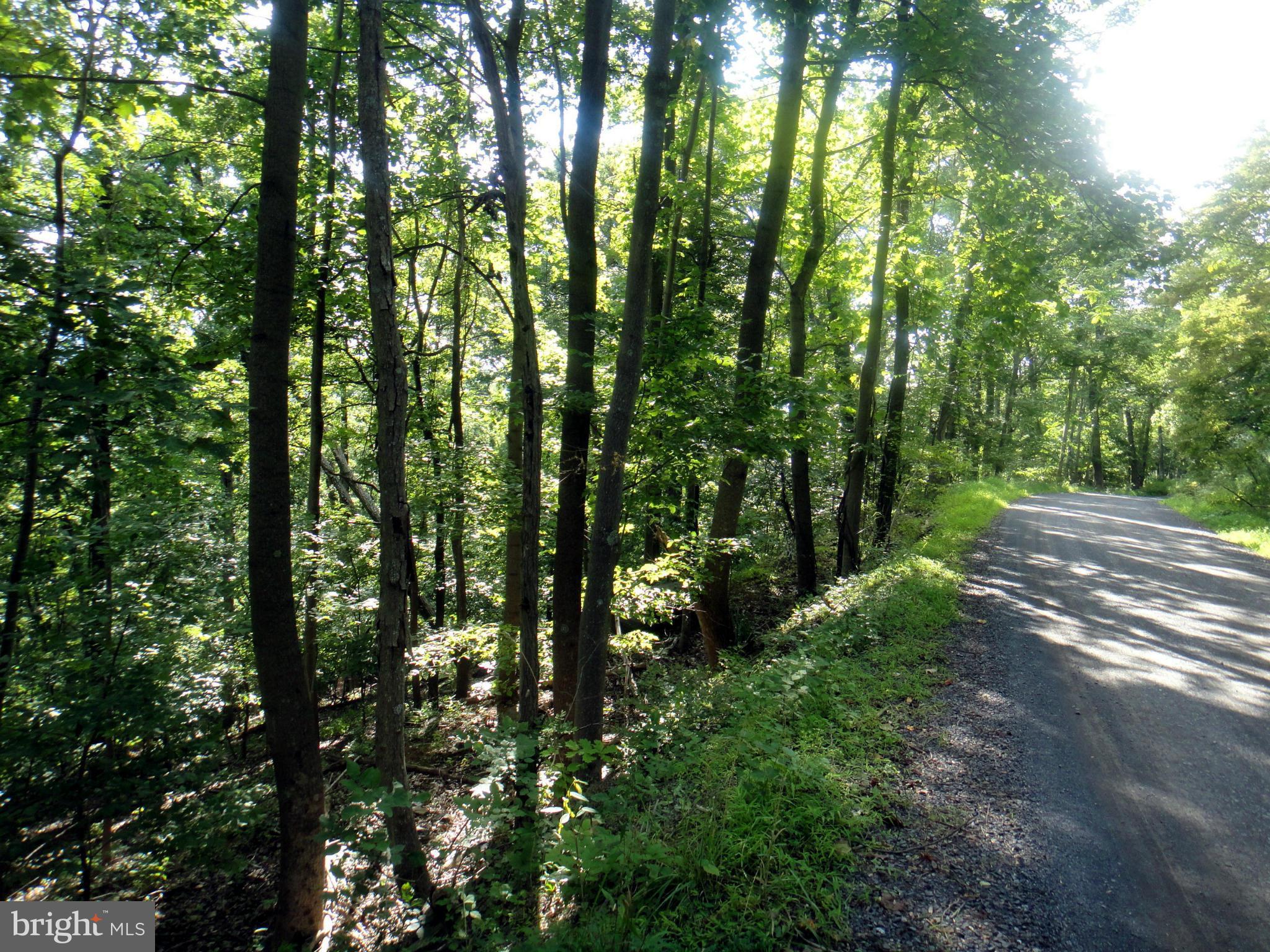 APPLE MT LAKE - Land