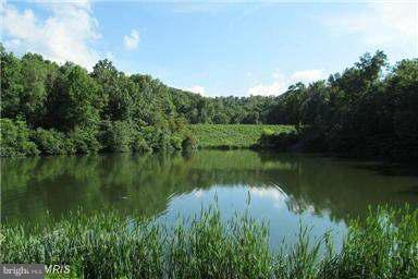 APPLE MT LAKE - Land