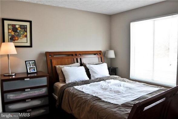 CABIN BRANCH FOREST - Residential Lease