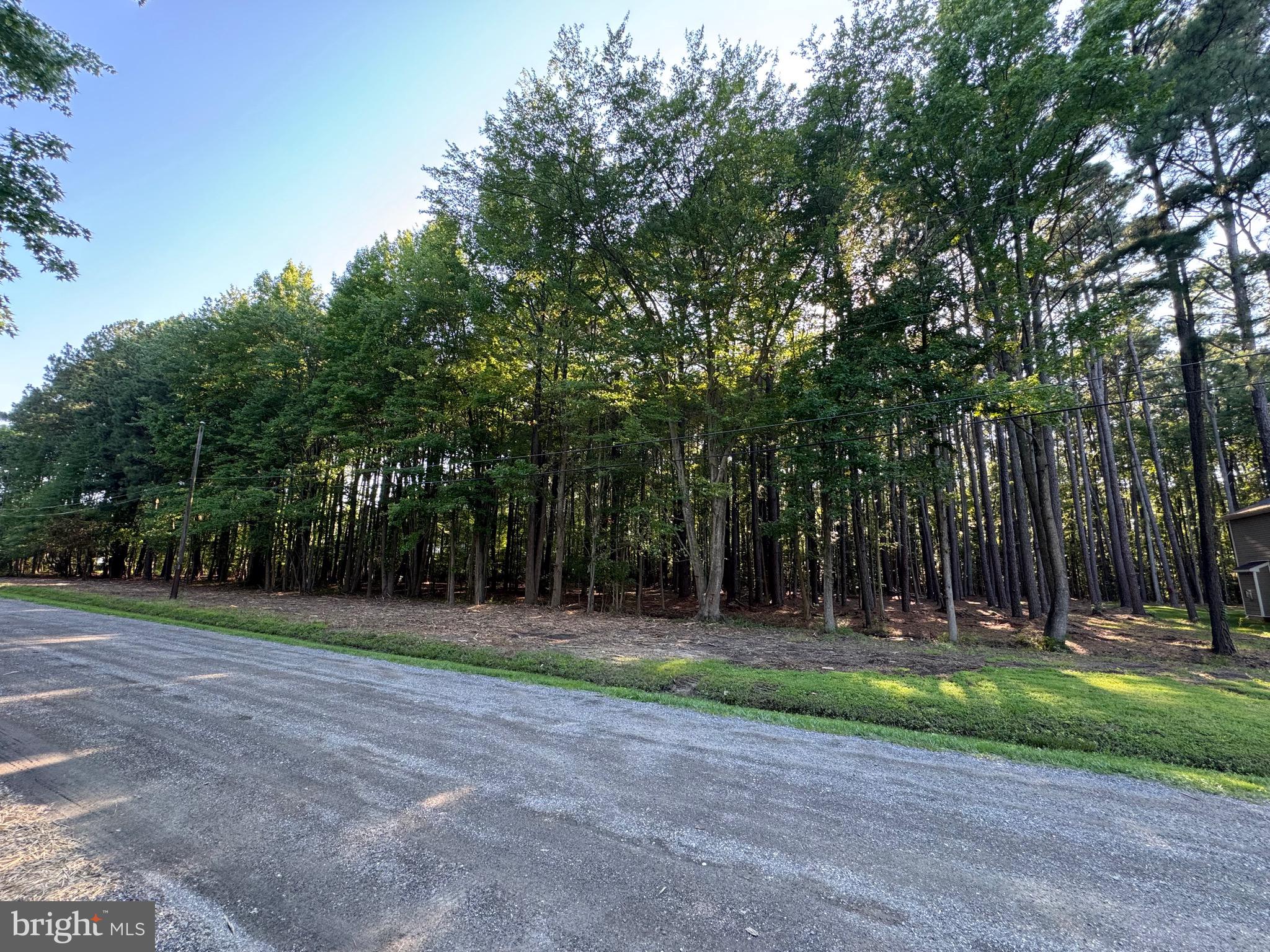 138 OLIVE BRANCH ROAD LOT 8