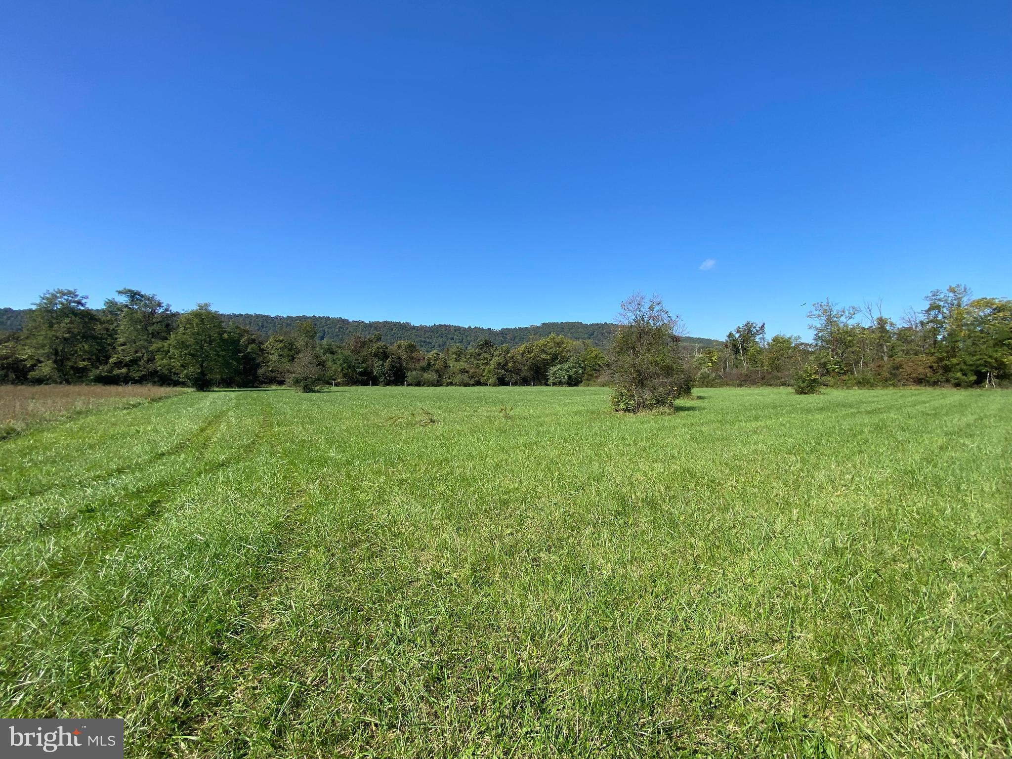 Welcome to Willow Creek Farm! This stunning 4-acre private lot has mountain views, breathtaking sunsets, and a natural spring perfect for a pond site. With about 2 acres of pasture space for barn yard animals and 2 acres of partially wooded makes this ideal for your dream custom barndominium, tiny home or farmette, all with no HOA restrictions. Be sure to click on the virtual tour for a better view of the property. Please note the property is not located in the flood plain, please see WV Flood plain map attached. Zillow listing marks it as in the flood plain, this information is incorrect. You also have the options to lease an additional 2 acres of adjoining pasture. Conveniently located just minutes from Tabler Station exit on 81, it's a fantastic commuter spot for Virgina and Maryland. Explore the possibilities today!
